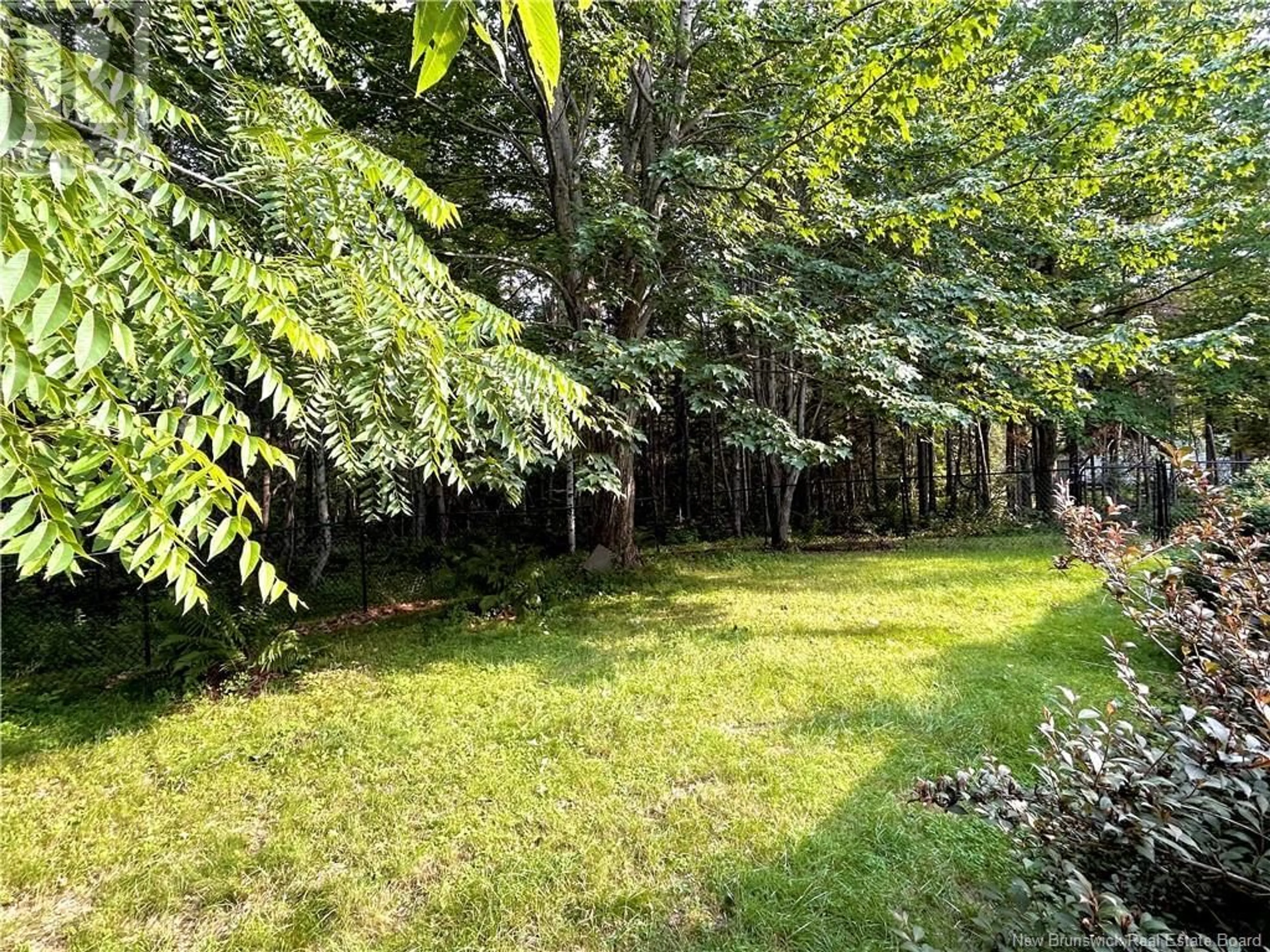 A pic from outside/outdoor area/front of a property/back of a property/a pic from drone, forest/trees view for 49 FRONT ROAD, Bay Du Vin New Brunswick E1N6L3