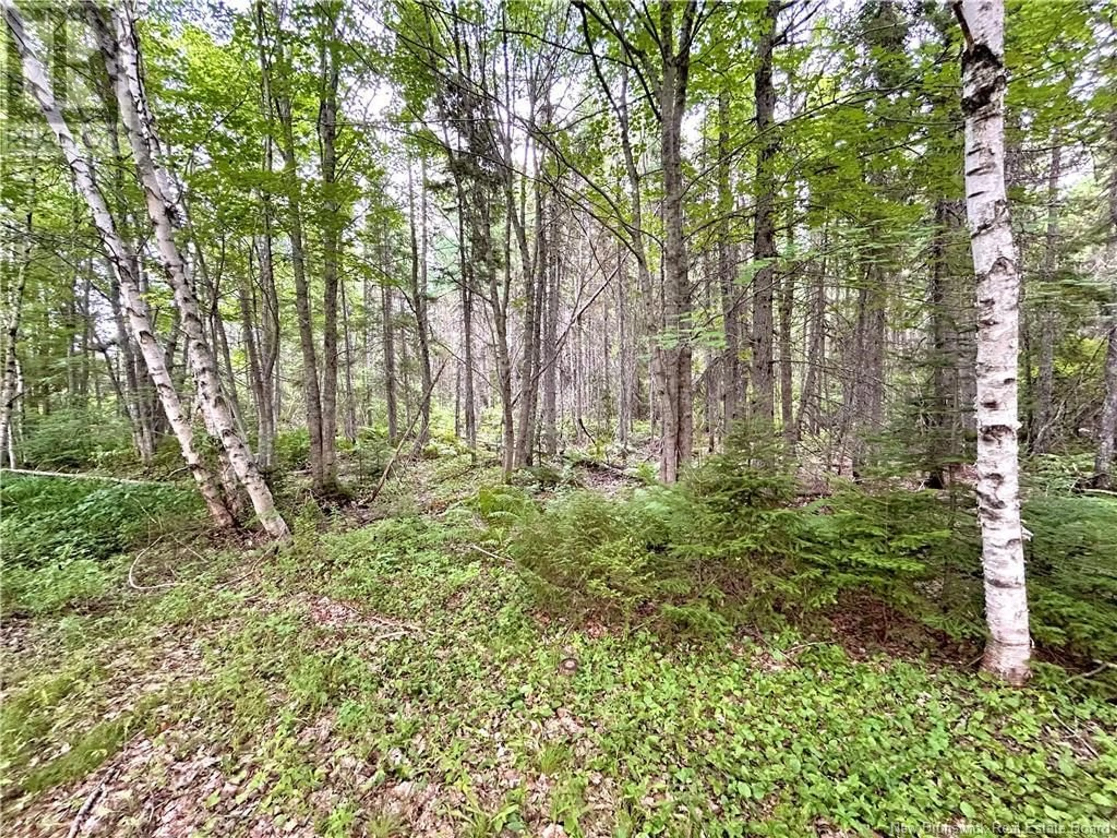 Unknown for 49 FRONT ROAD, Bay Du Vin New Brunswick E1N6L3