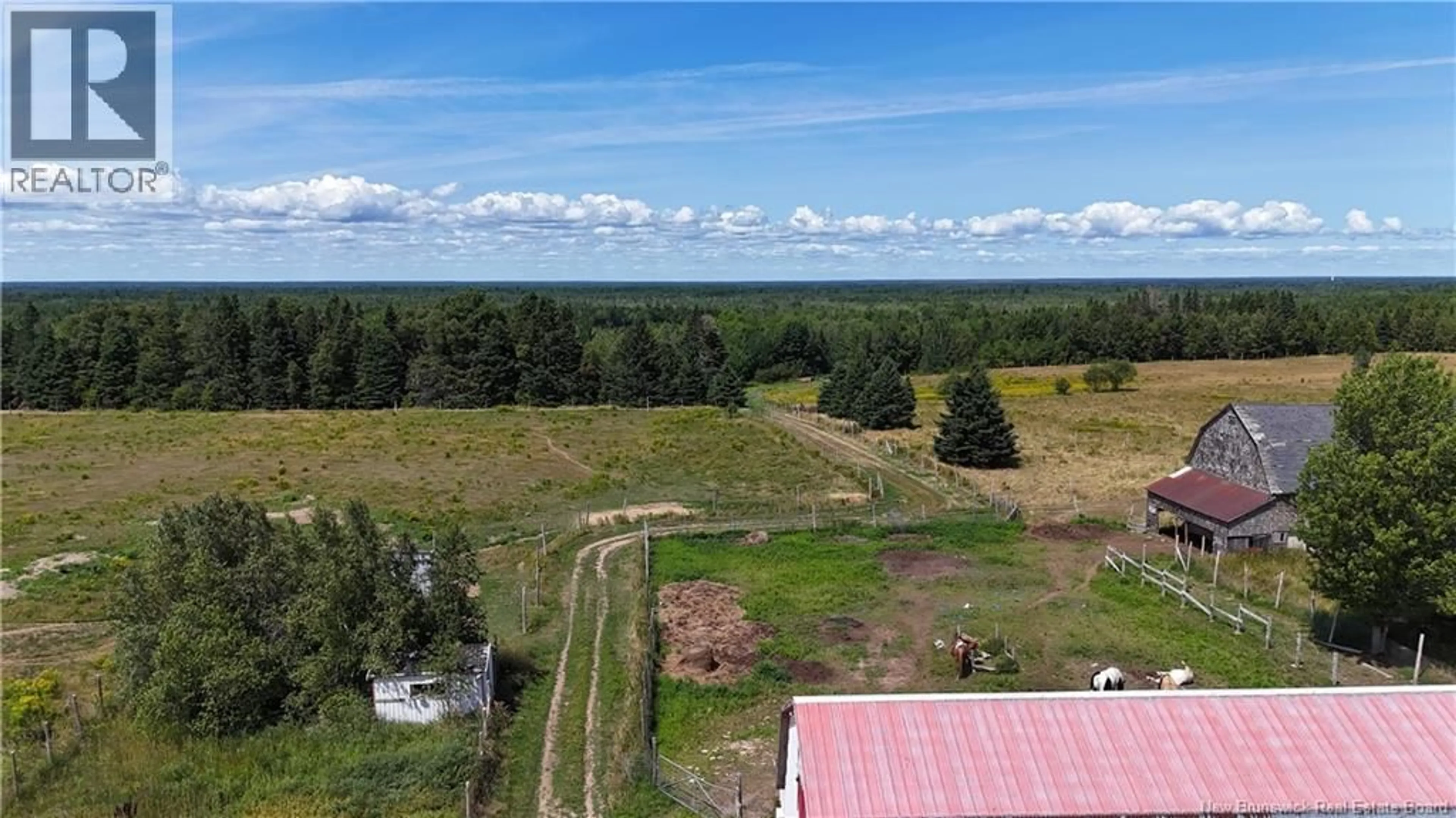 A pic from outside/outdoor area/front of a property/back of a property/a pic from drone, forest/trees view for 566 GALLOWAY ROAD, Galloway New Brunswick E4W2P9