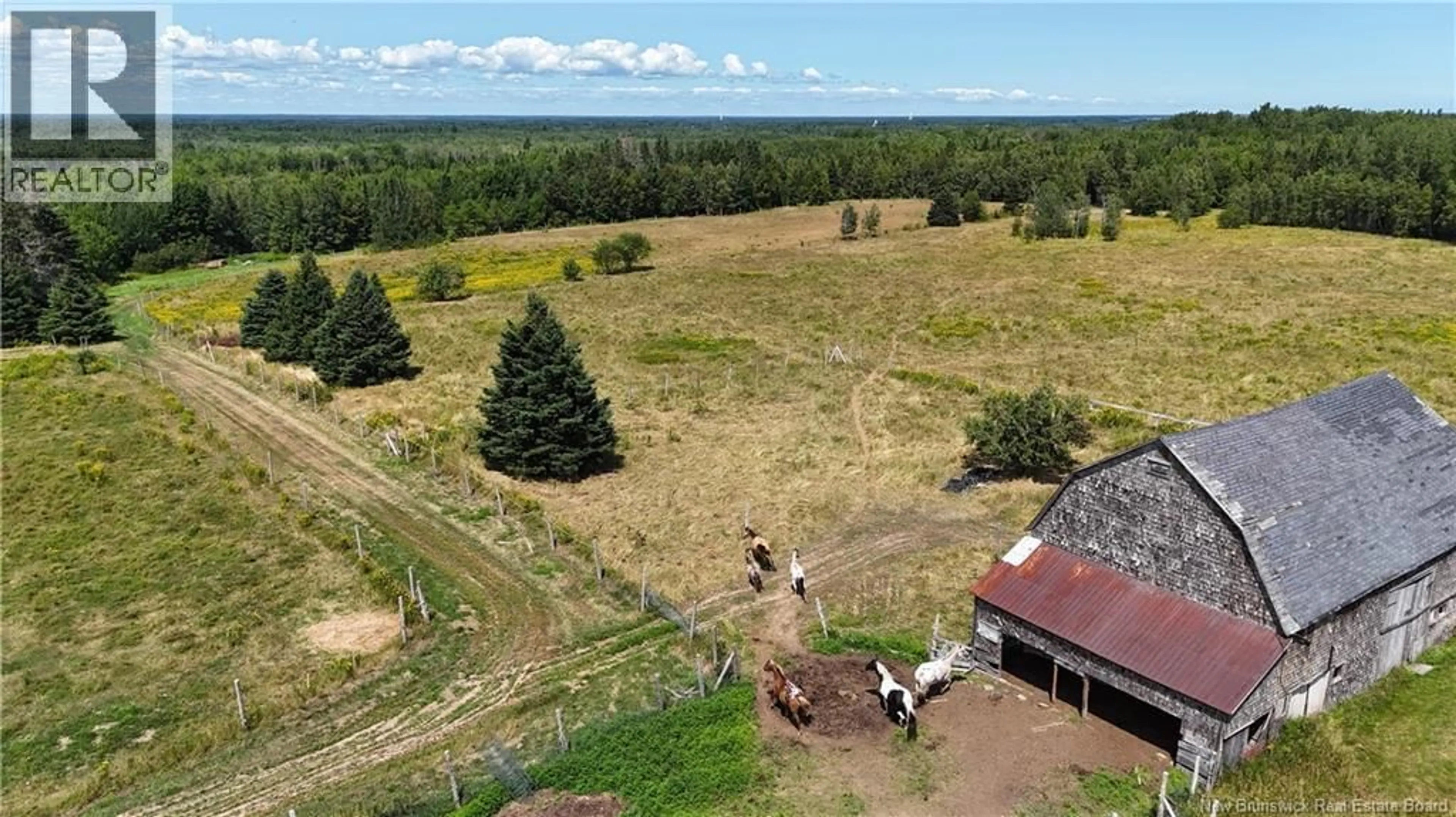 A pic from outside/outdoor area/front of a property/back of a property/a pic from drone, forest/trees view for 566 GALLOWAY ROAD, Galloway New Brunswick E4W2P9