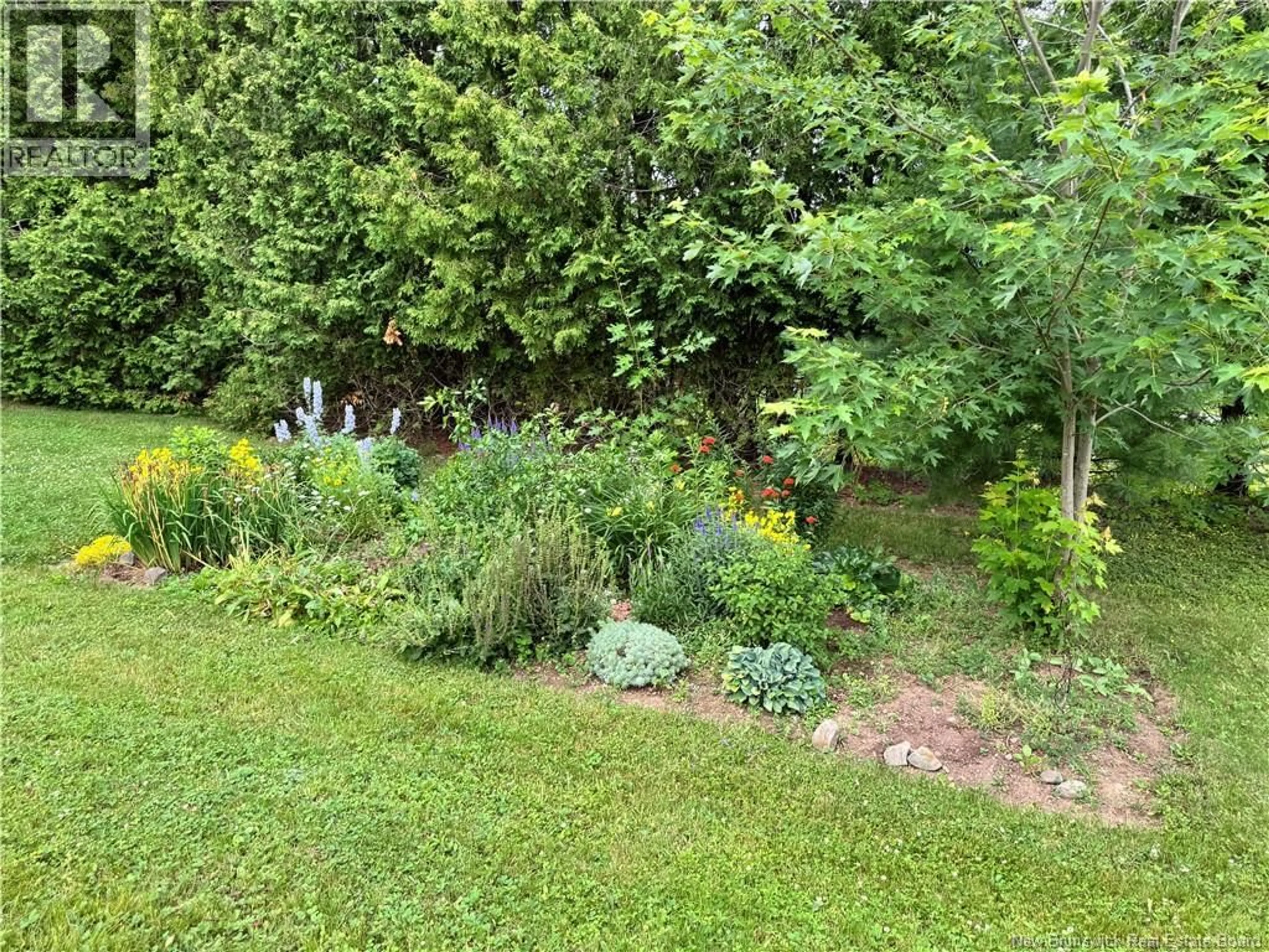 A pic from outside/outdoor area/front of a property/back of a property/a pic from drone, forest/trees view for 4491 ROUTE 102, Queenstown New Brunswick E5M1Z5