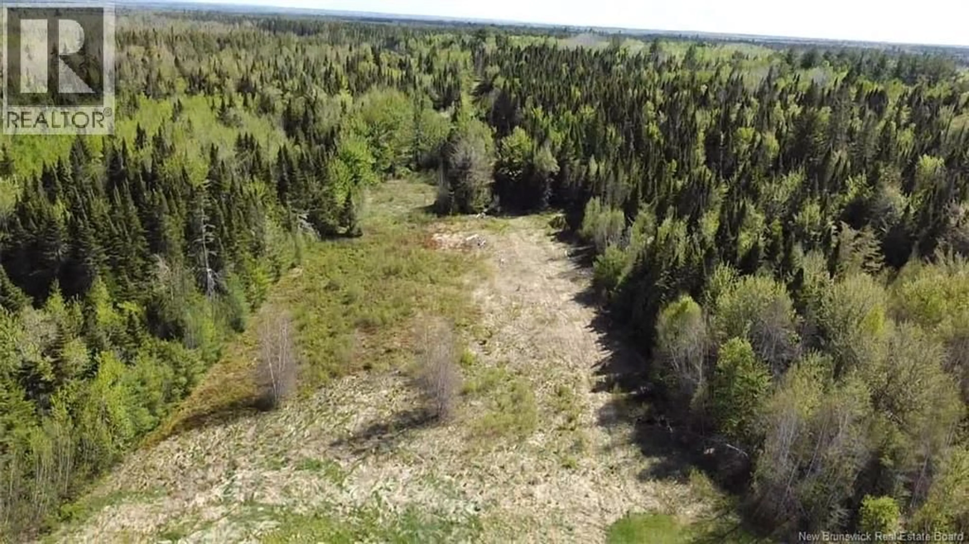 A pic from outside/outdoor area/front of a property/back of a property/a pic from drone, forest/trees view for 6762 ROUTE 10, Upper Salmon Creek New Brunswick E4A1J1