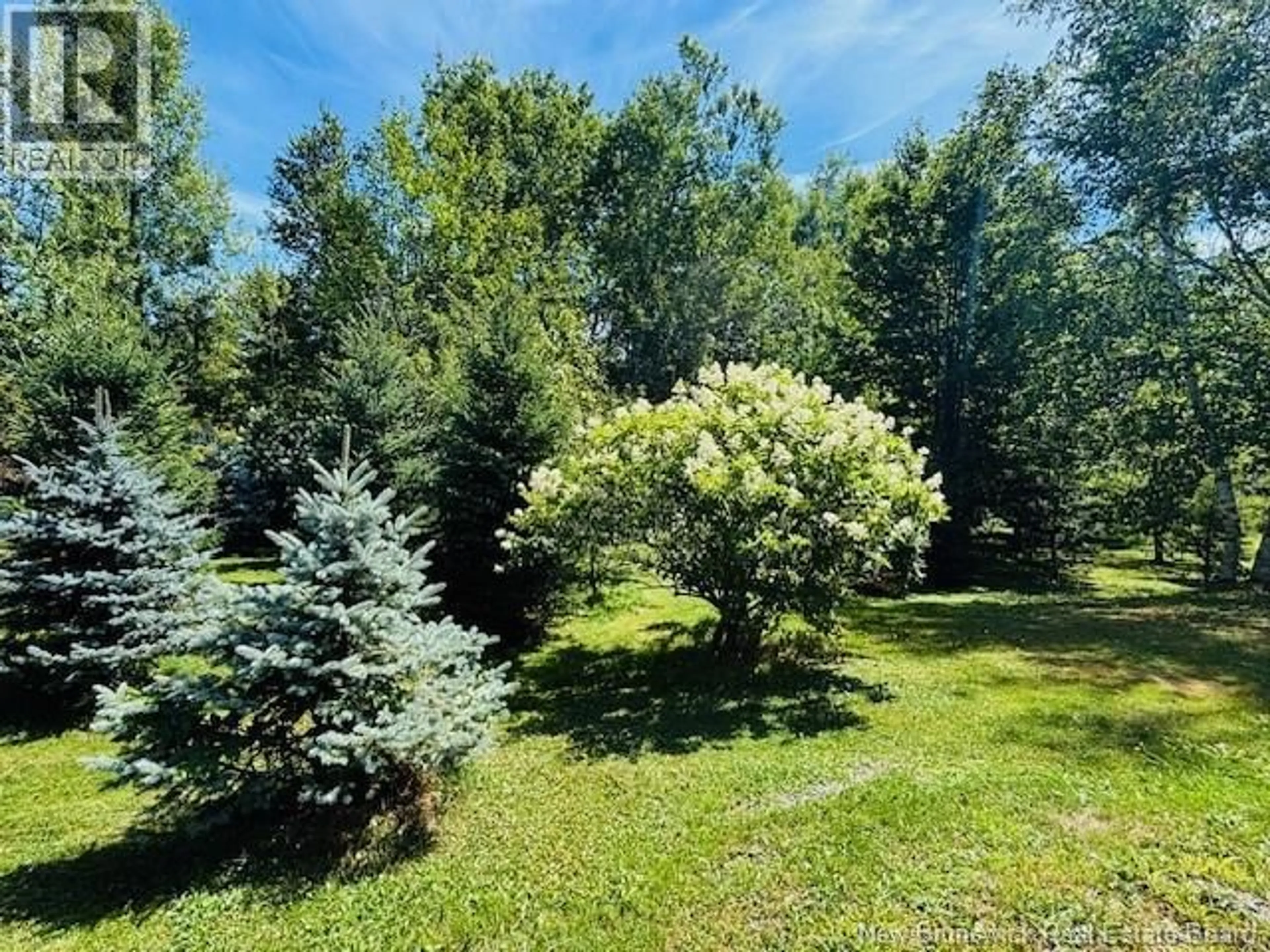 A pic from outside/outdoor area/front of a property/back of a property/a pic from drone, forest/trees view for 922 ROUTE 10, Fredericton New Brunswick E3A7E5