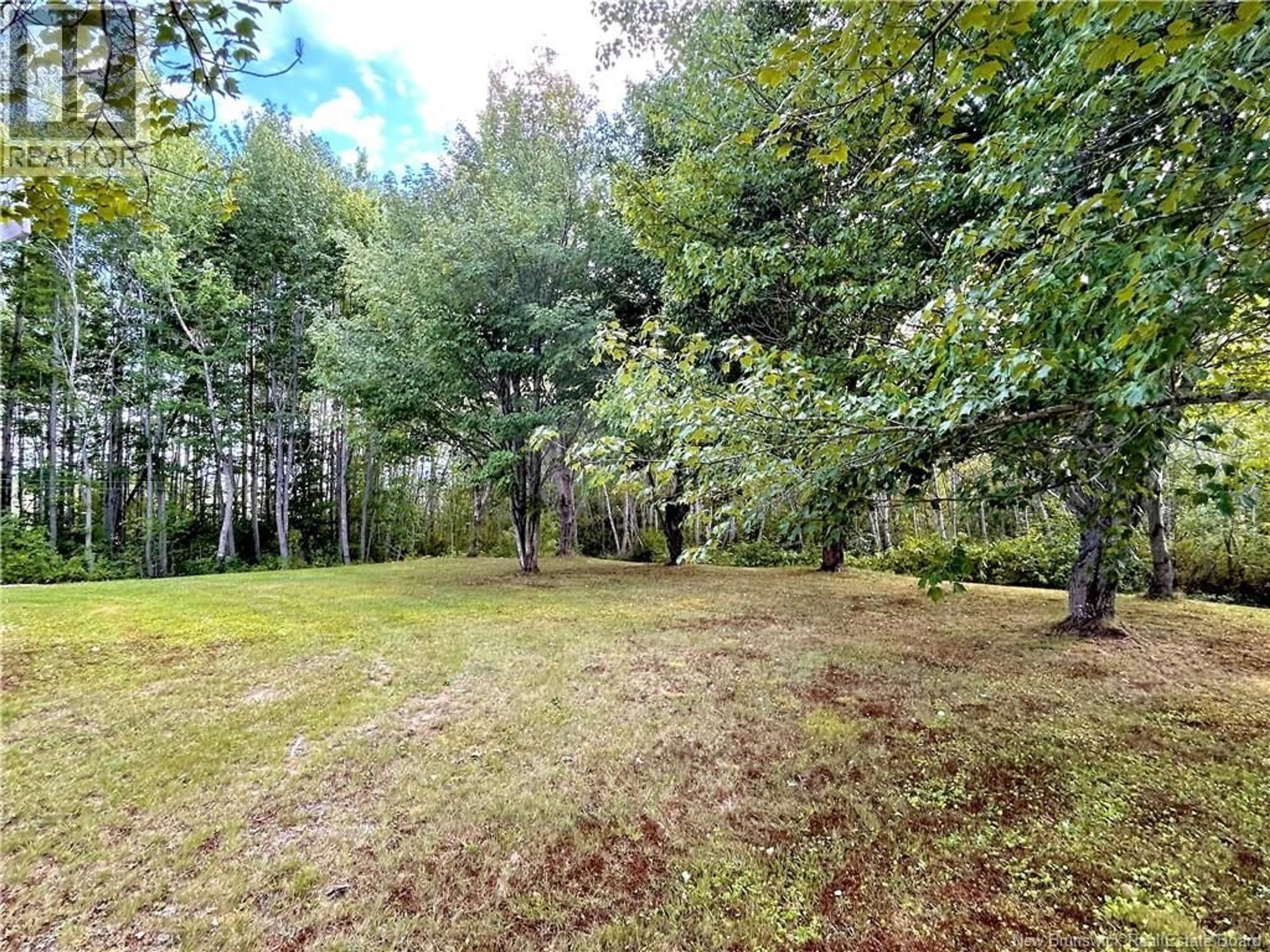 A pic from outside/outdoor area/front of a property/back of a property/a pic from drone, forest/trees view for 120 CH. SAINT-PIERRE CH., Rogersville New Brunswick E4Y1L5