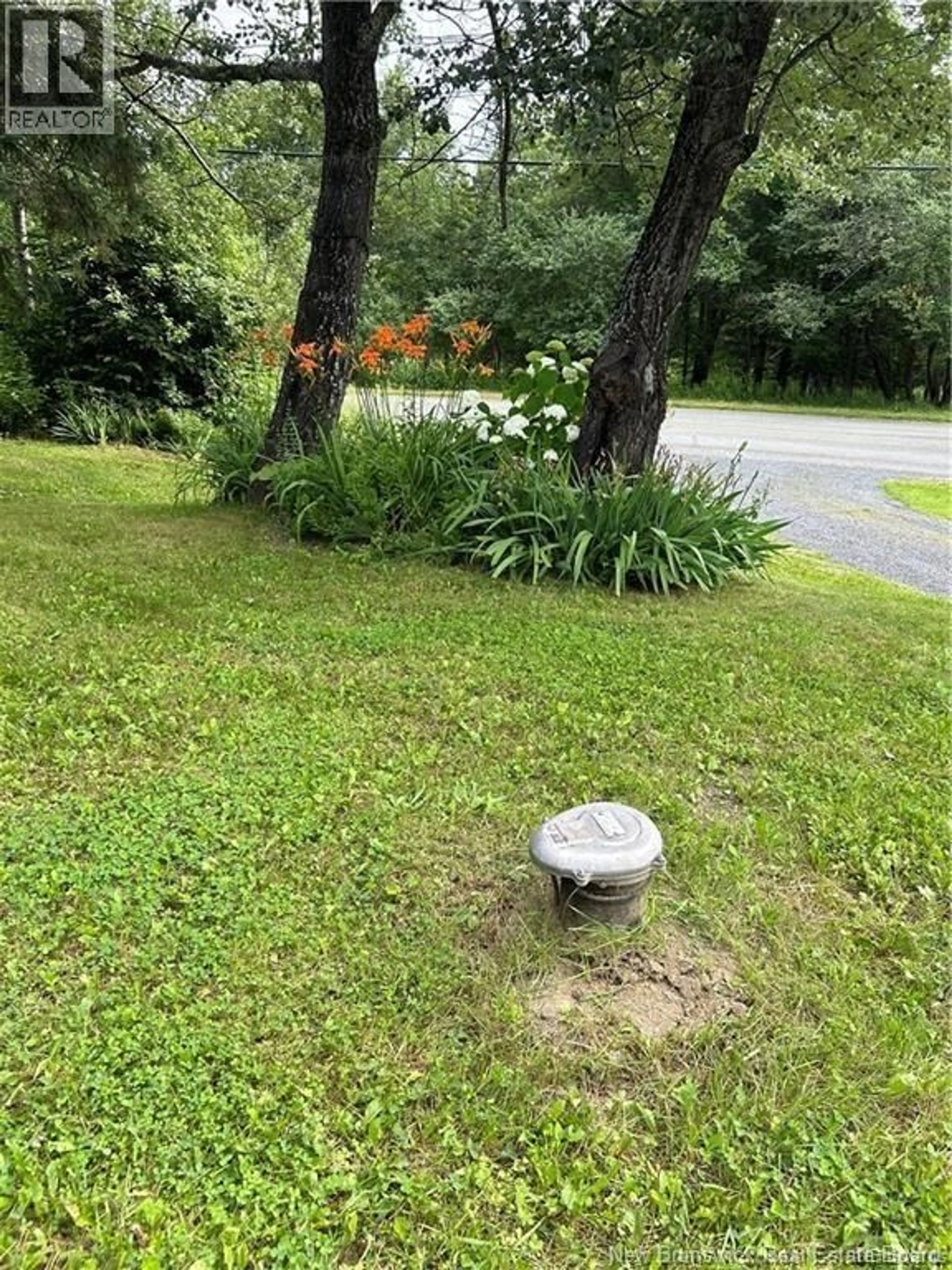 Unknown for 80 ROUTE 165, Meductic New Brunswick E6H1B4