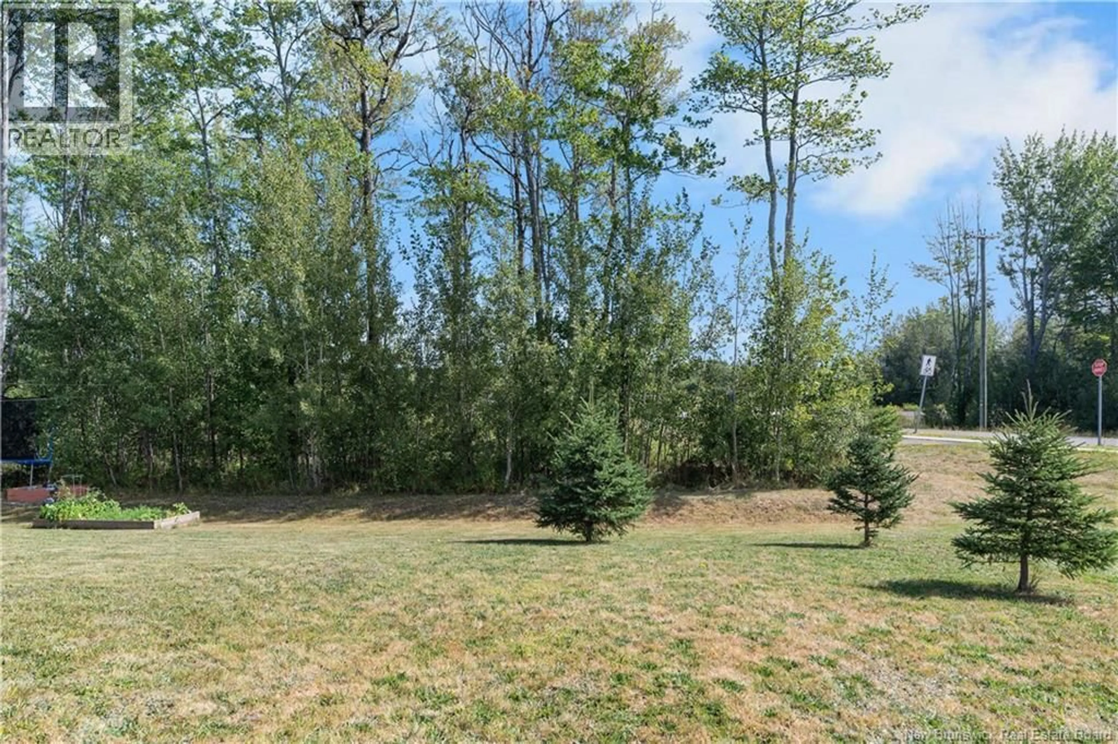 A pic from outside/outdoor area/front of a property/back of a property/a pic from drone, forest/trees view for 218 ERINVALE DRIVE, Moncton New Brunswick E1A9S2