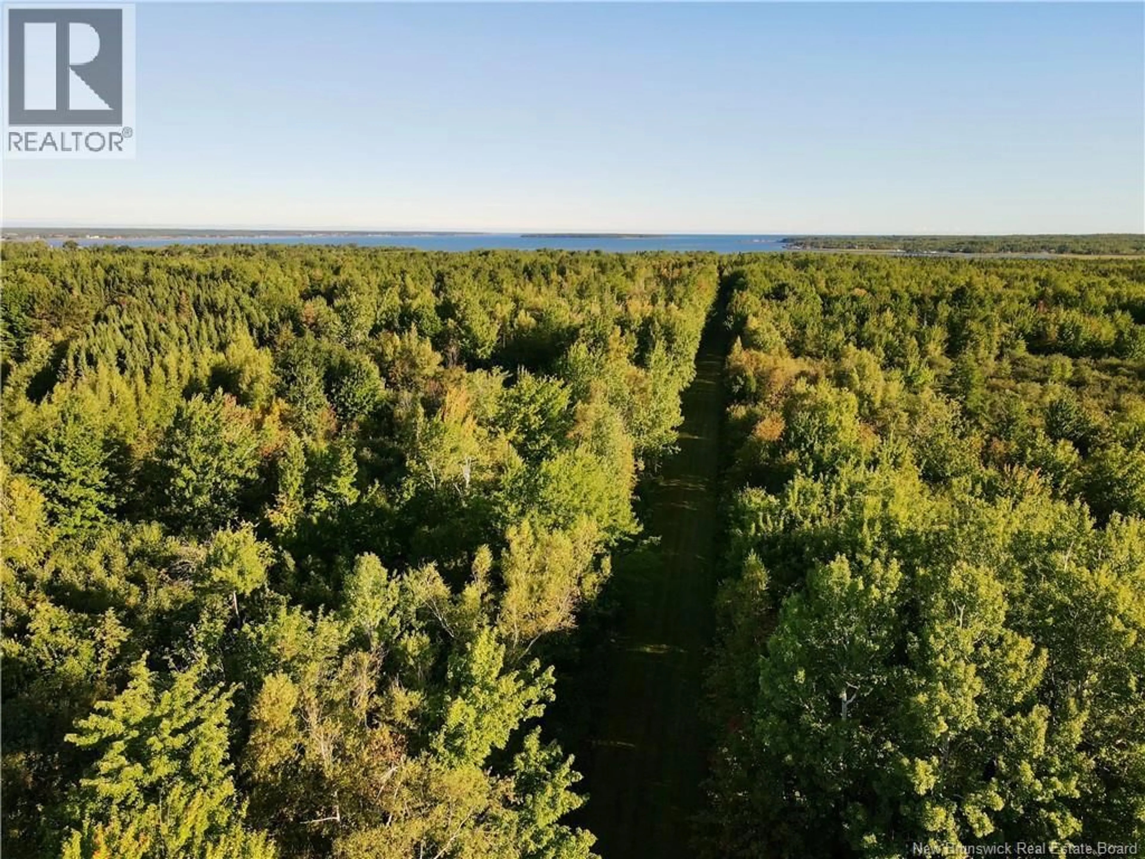 A pic from outside/outdoor area/front of a property/back of a property/a pic from drone, forest/trees view for 4424 ROUTE 530, Grande-Digue New Brunswick E4R5P9