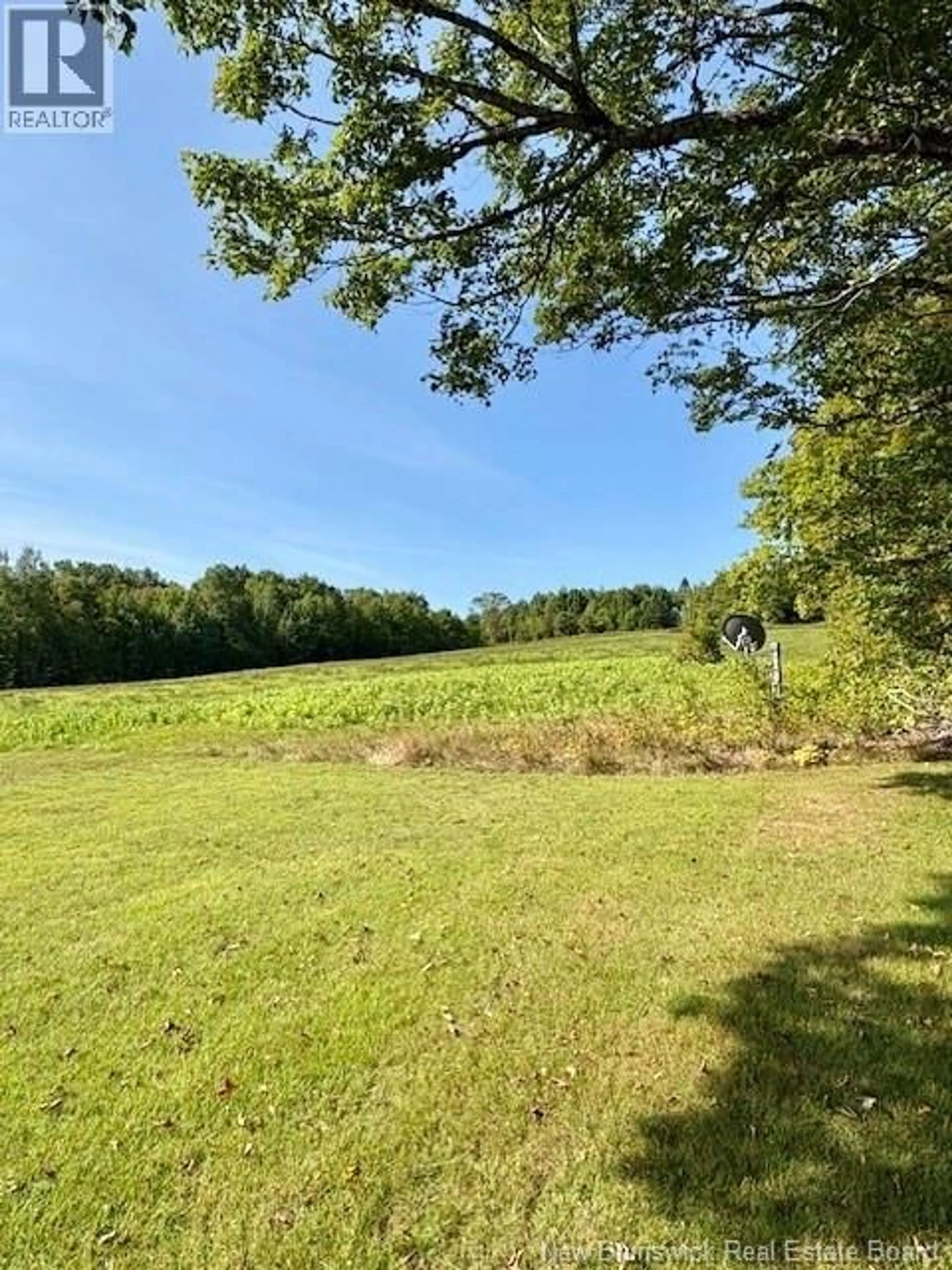 A pic from outside/outdoor area/front of a property/back of a property/a pic from drone, forest/trees view for 165 GREEN ROAD, Richmond New Brunswick E7N2H1