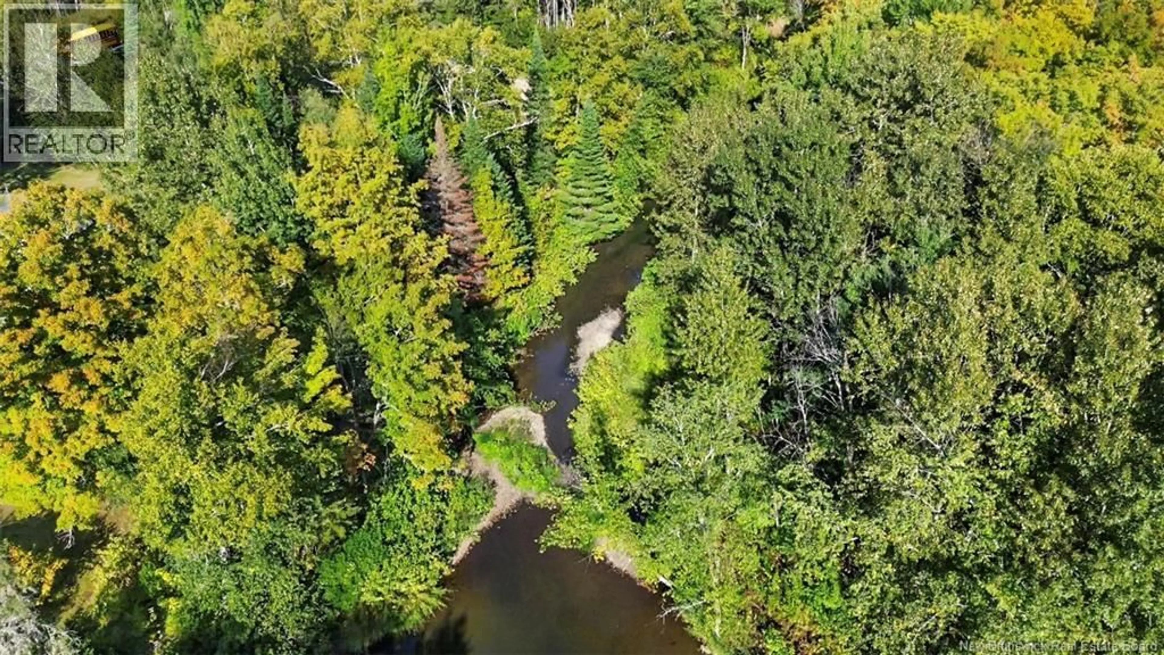 A pic from outside/outdoor area/front of a property/back of a property/a pic from drone, forest/trees view for 2671 MIDDLE RIVER ROAD, Middle River New Brunswick E2A6X7