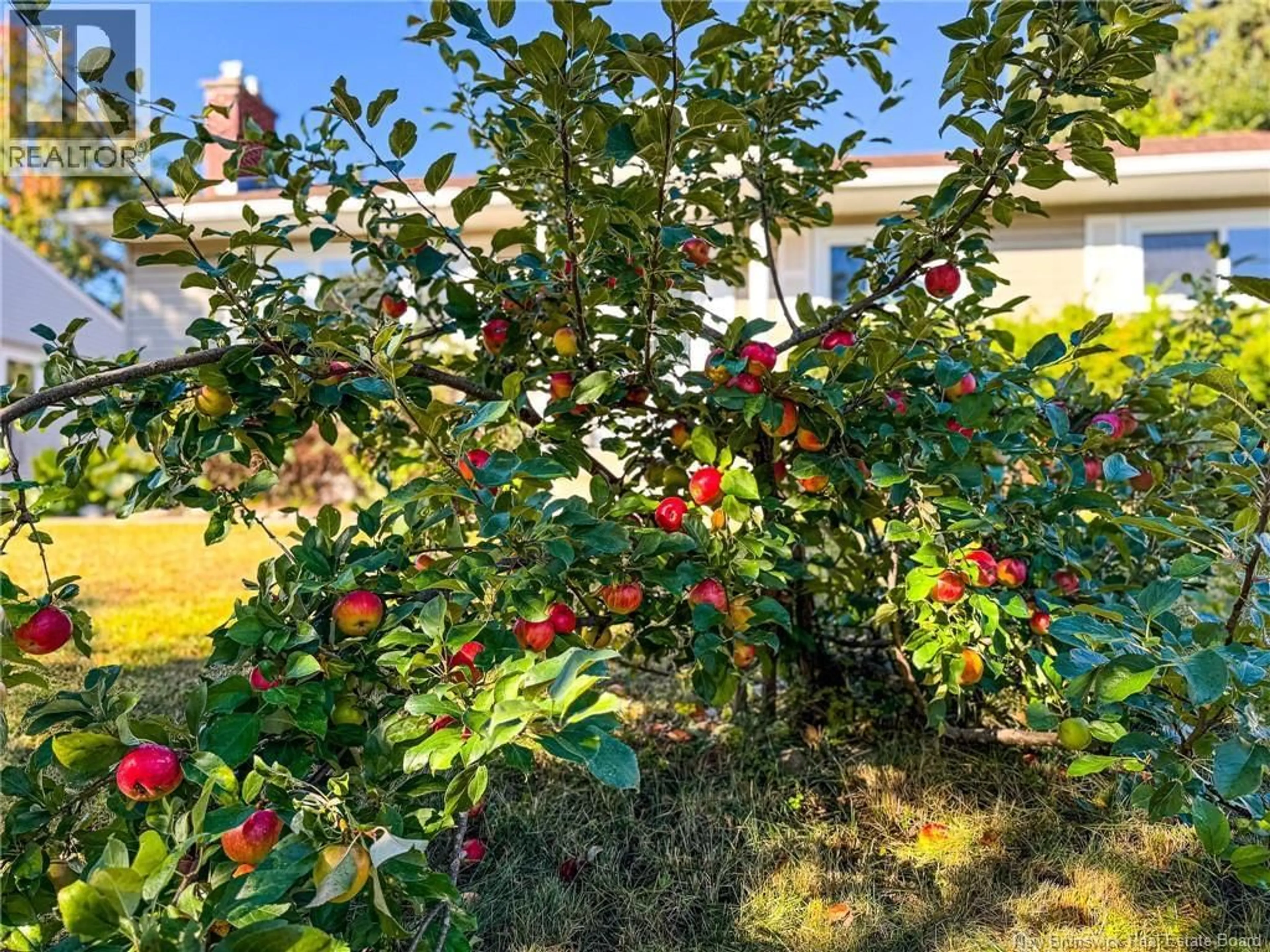 A pic from outside/outdoor area/front of a property/back of a property/a pic from drone, street for 68 CORONATION DRIVE, Moncton New Brunswick E1E2X4