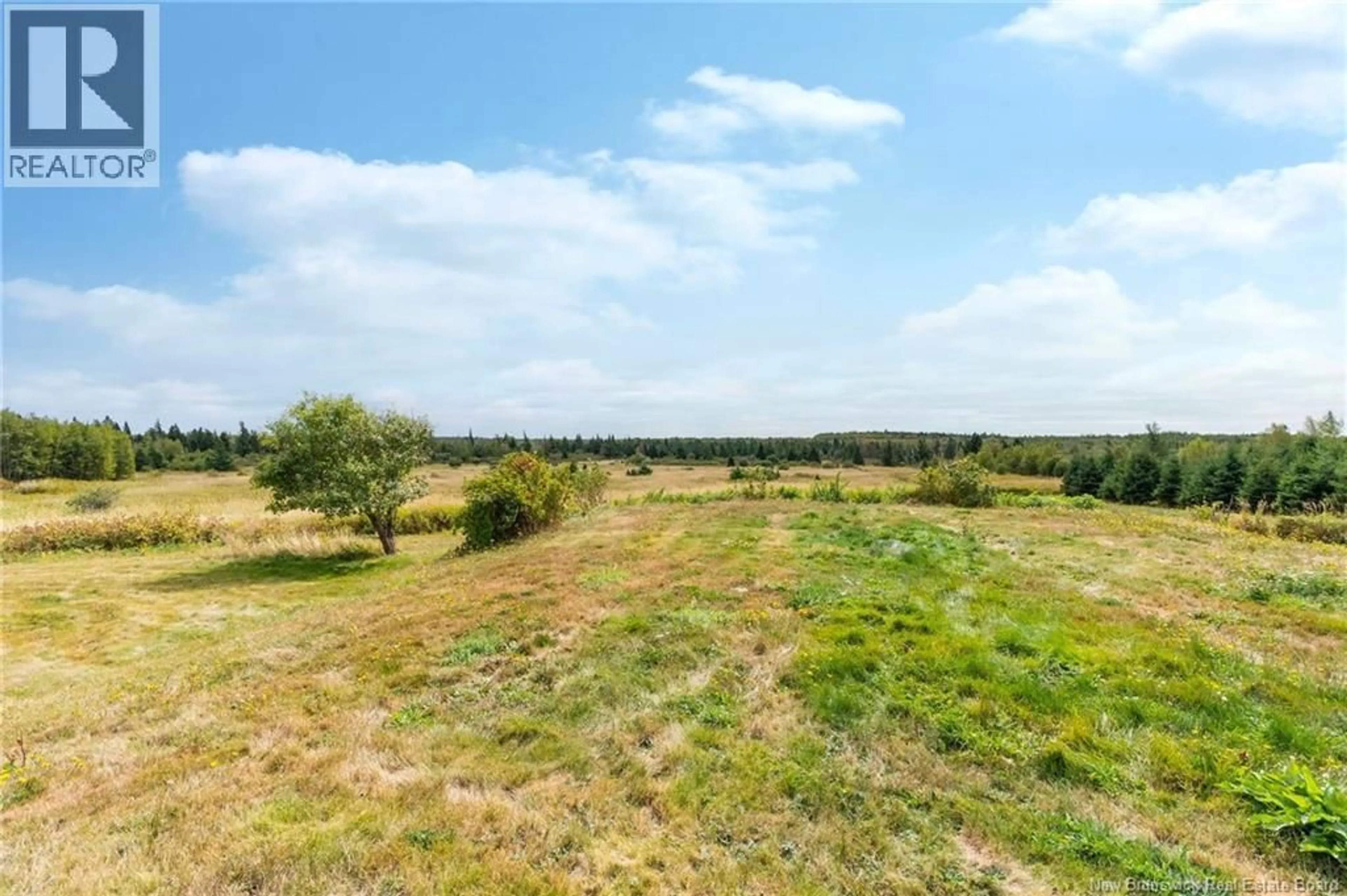 A pic from outside/outdoor area/front of a property/back of a property/a pic from drone, forest/trees view for 4235 ROUTE 16, Malden New Brunswick E4M2H2