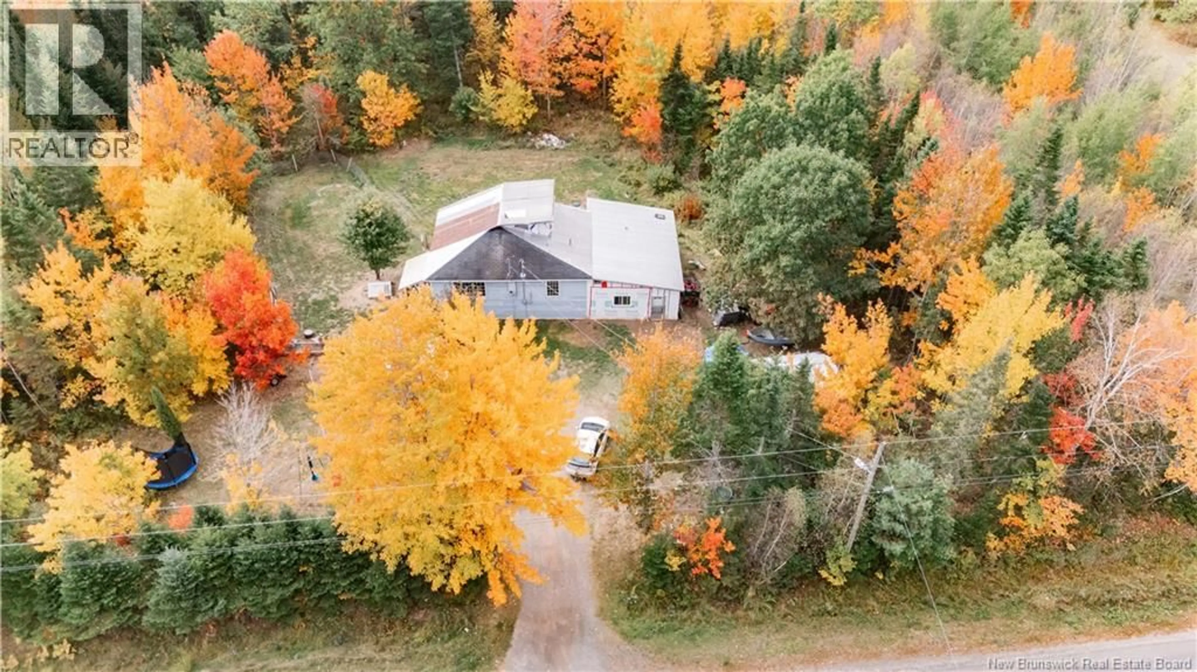 A pic from outside/outdoor area/front of a property/back of a property/a pic from drone, forest/trees view for 381 ROUTE 645, Vespra New Brunswick E5L1K7