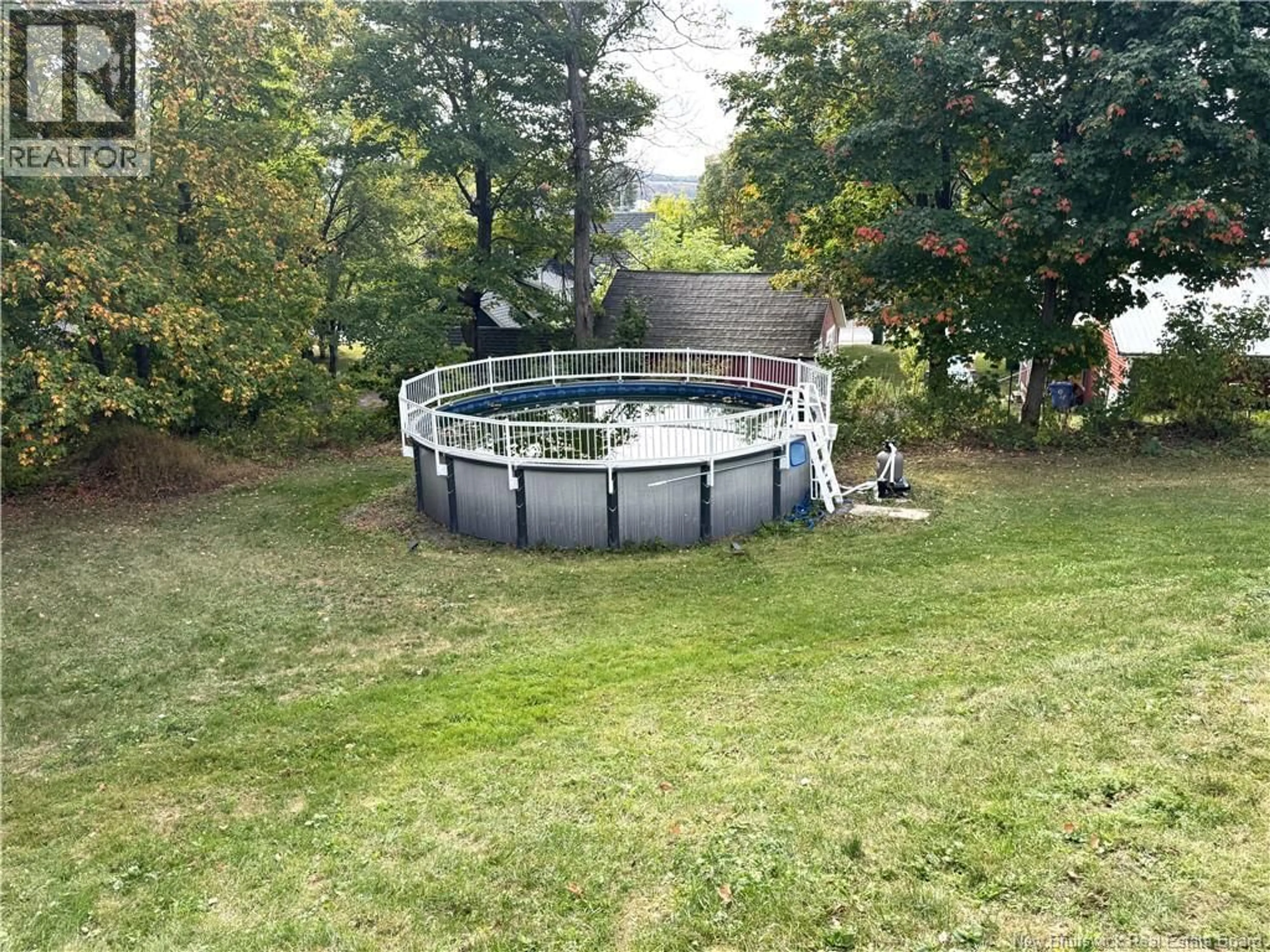 Pool for 113 SAINT JOHN STREET, Woodstock New Brunswick E7M2T8