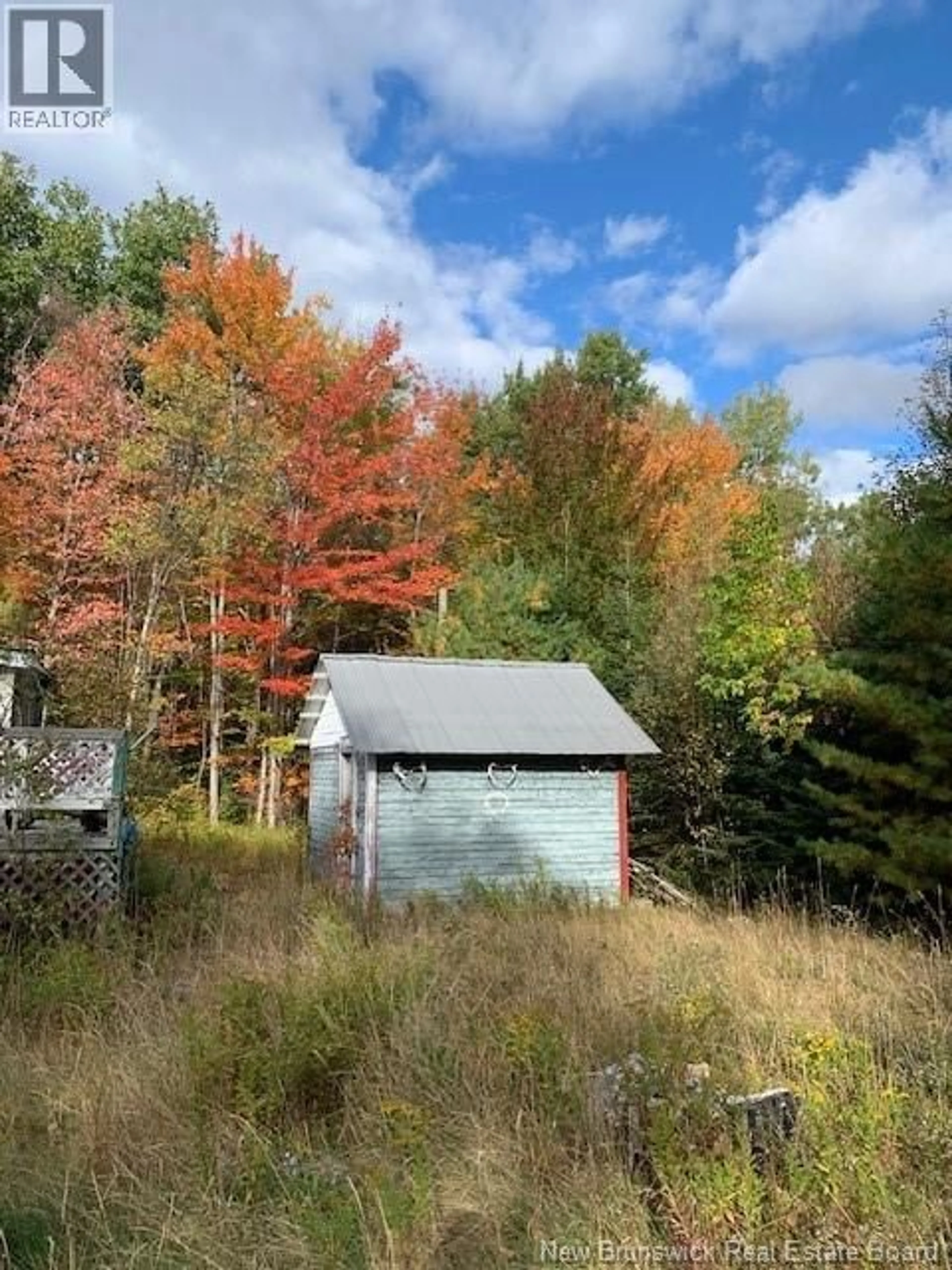 Shed for 67 HILL STREET, Minto New Brunswick E4B2L2