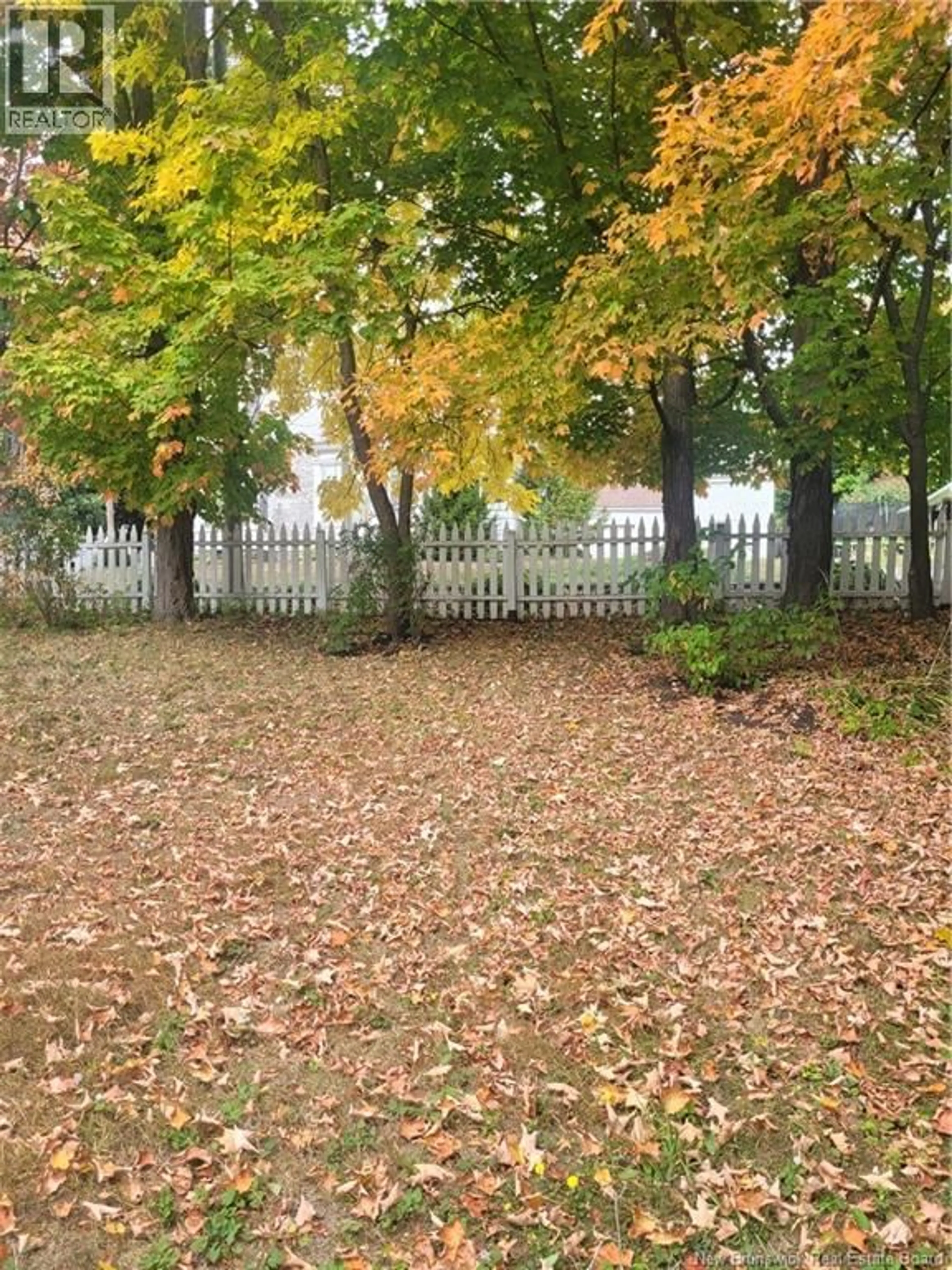 A pic from outside/outdoor area/front of a property/back of a property/a pic from drone, forest/trees view for 121 PRINCE ALBERT STREET, Woodstock New Brunswick E7M2L9