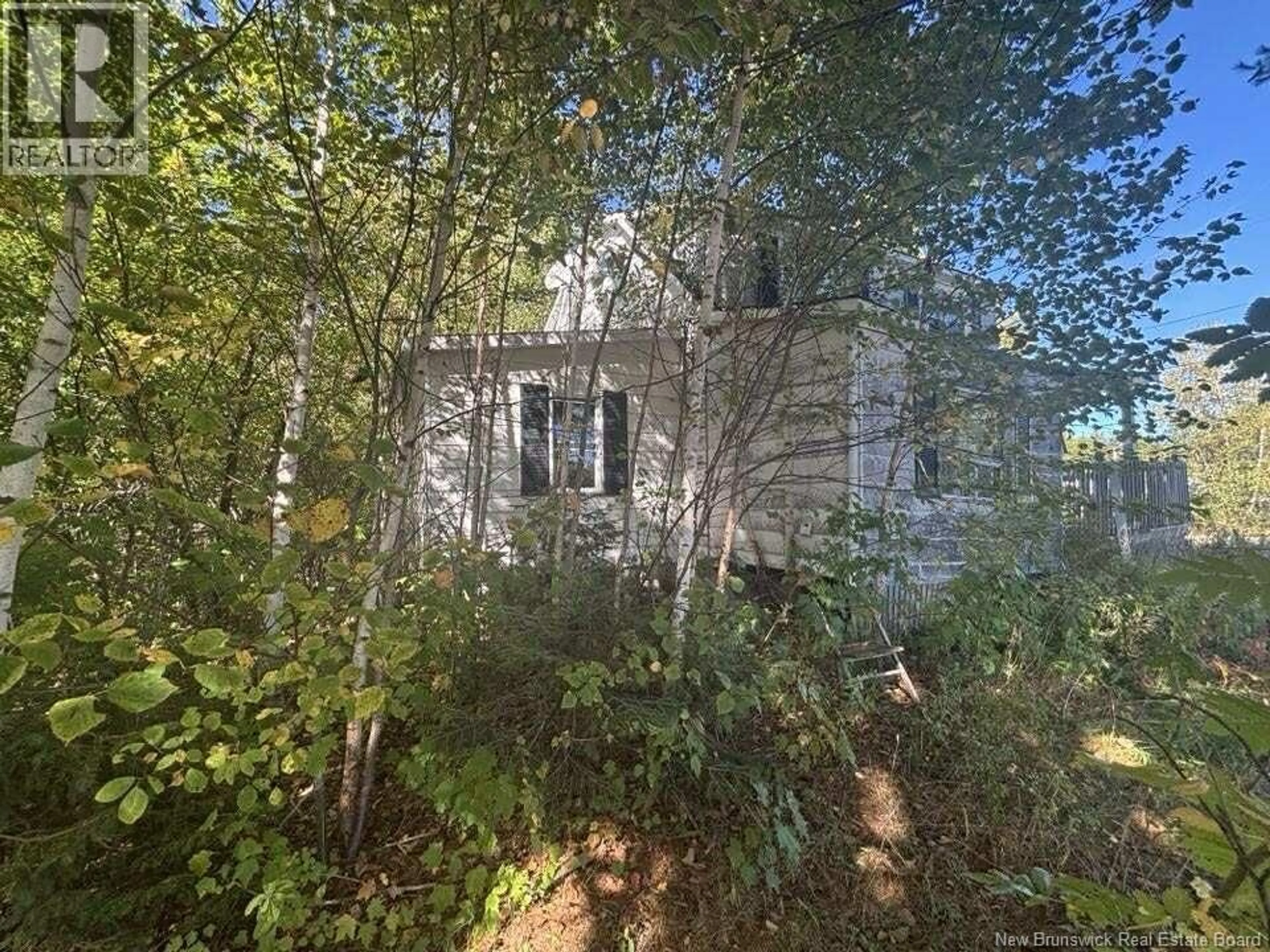 A pic from outside/outdoor area/front of a property/back of a property/a pic from drone, forest/trees view for 6 GUM ROAD, Bartibog Bridge New Brunswick E1V7H6