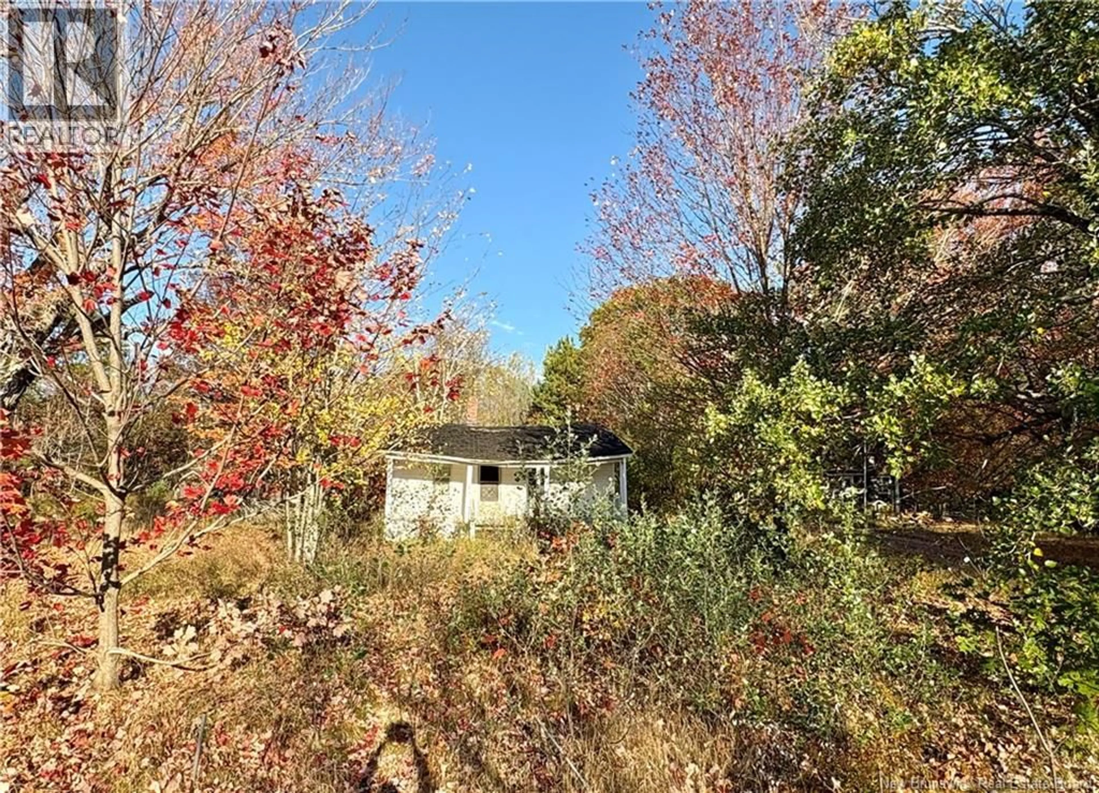 A pic from outside/outdoor area/front of a property/back of a property/a pic from drone, forest/trees view for 3945 ROUTE 690, Newcastle Creek New Brunswick E4B2J2