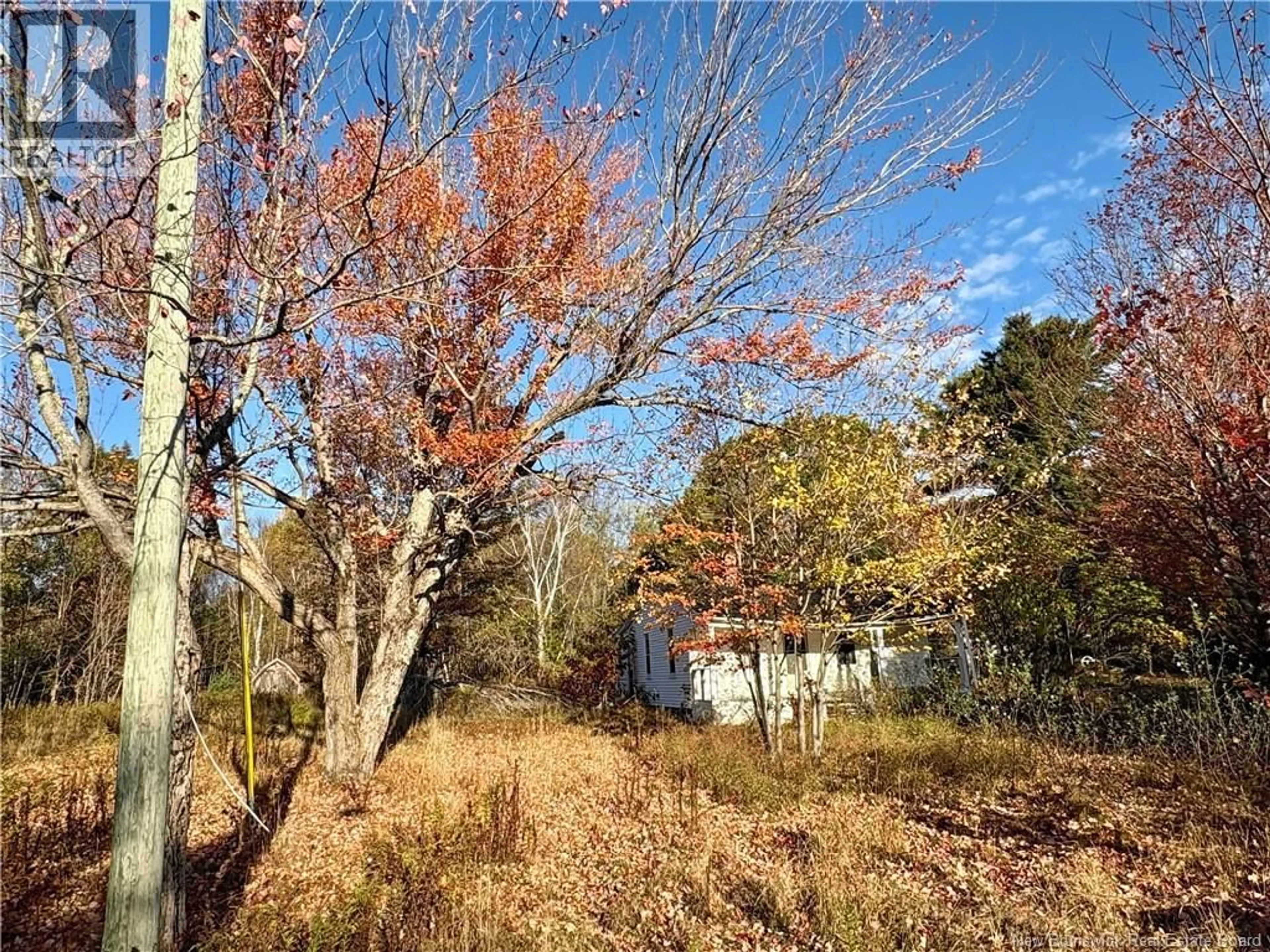 A pic from outside/outdoor area/front of a property/back of a property/a pic from drone, forest/trees view for 3945 ROUTE 690, Newcastle Creek New Brunswick E4B2J2
