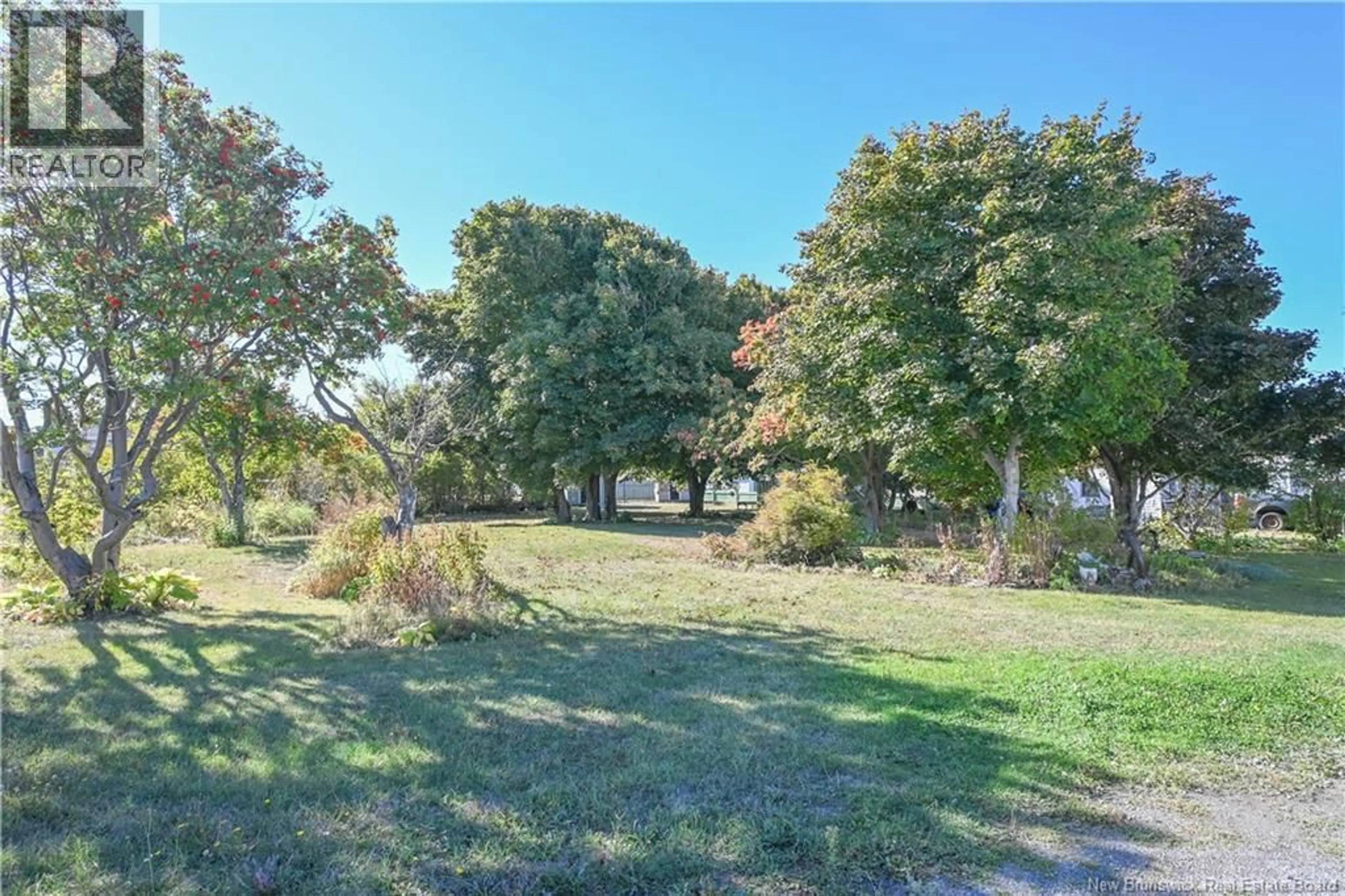 A pic from outside/outdoor area/front of a property/back of a property/a pic from drone, forest/trees view for 142 SAINT-PIERRE BOULEVARD, Caraquet New Brunswick E1W1B1