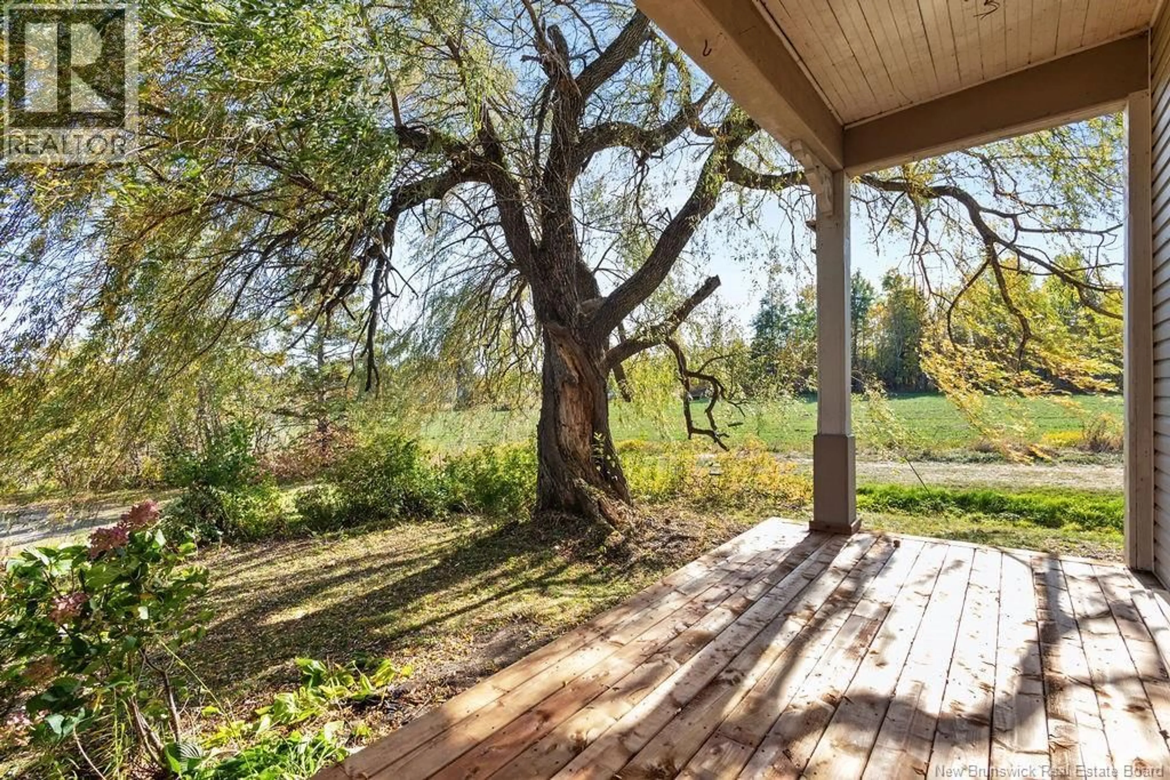 Patio, forest/trees view for 205 SOUTH NAPAN ROAD, Napan New Brunswick E1N4V9