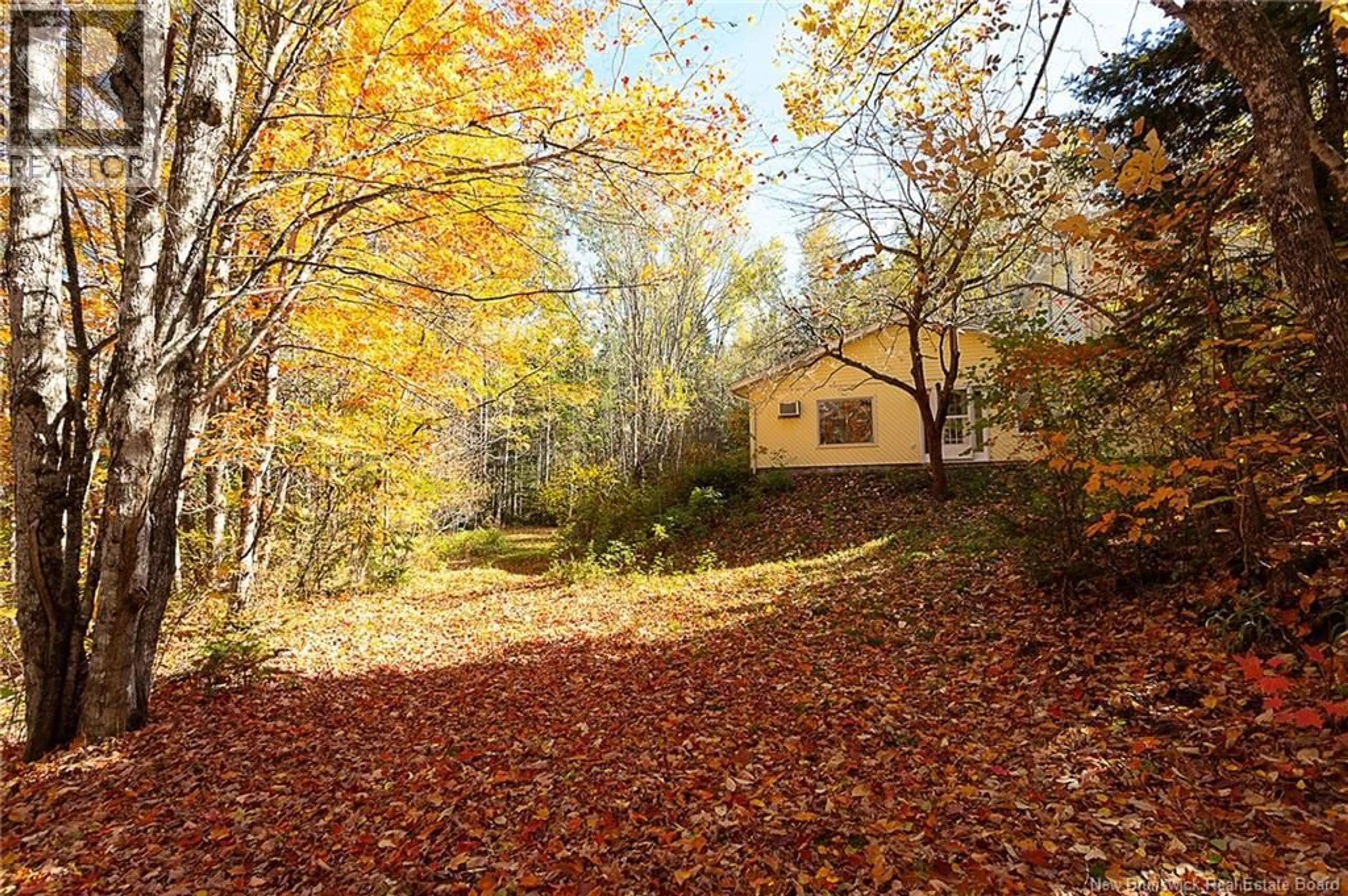Patio, forest/trees view for 7415 ROUTE 101, Wirral New Brunswick E5L2P6
