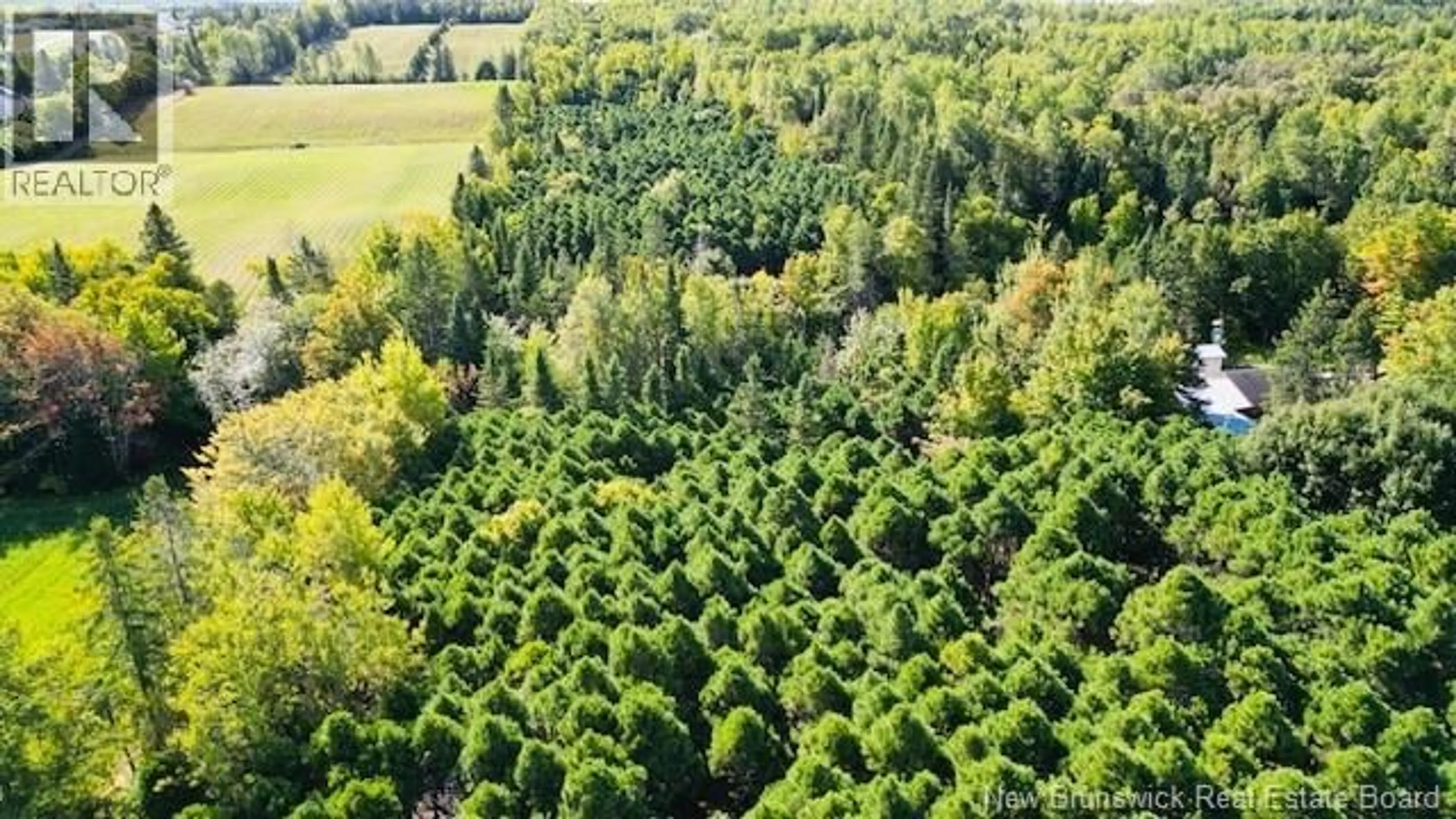 A pic from outside/outdoor area/front of a property/back of a property/a pic from drone, forest/trees view for 40 LEPAGE STREET, Balmoral New Brunswick E8E1J2
