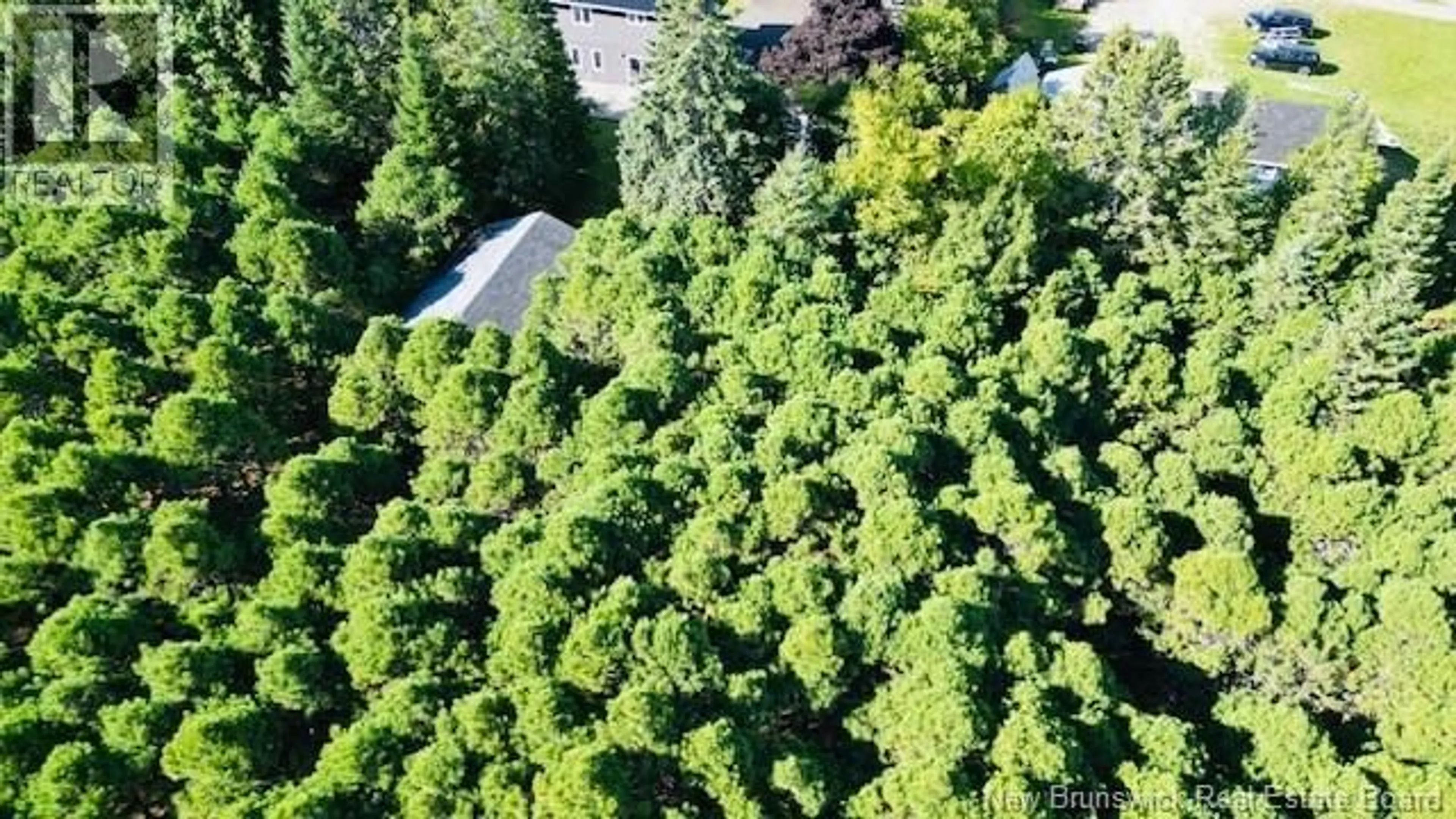 A pic from outside/outdoor area/front of a property/back of a property/a pic from drone, forest/trees view for 40 LEPAGE STREET, Balmoral New Brunswick E8E1J2