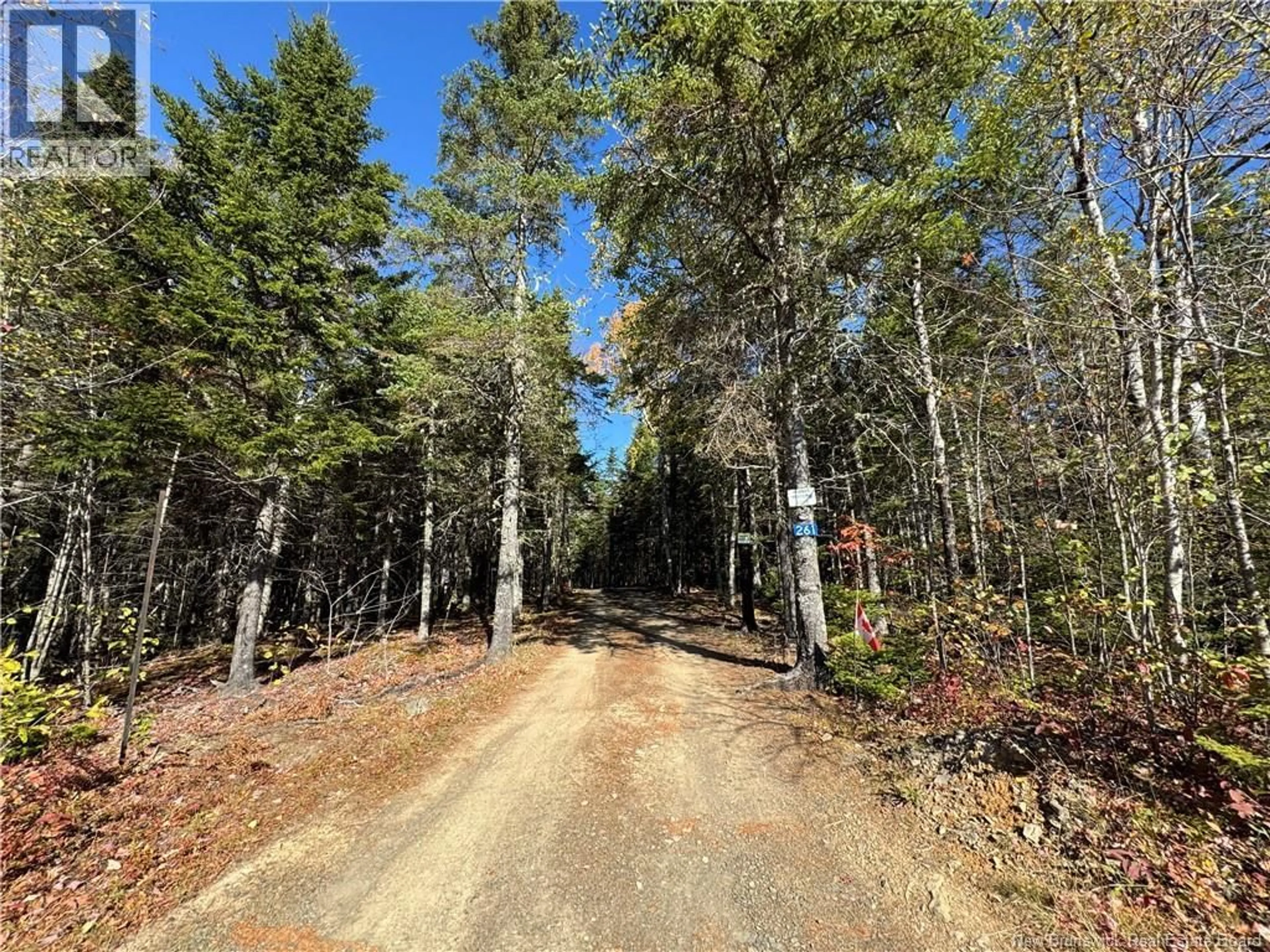 A pic from outside/outdoor area/front of a property/back of a property/a pic from drone, forest/trees view for 261 TEAKLES ROAD, Southfield New Brunswick E4E5X9