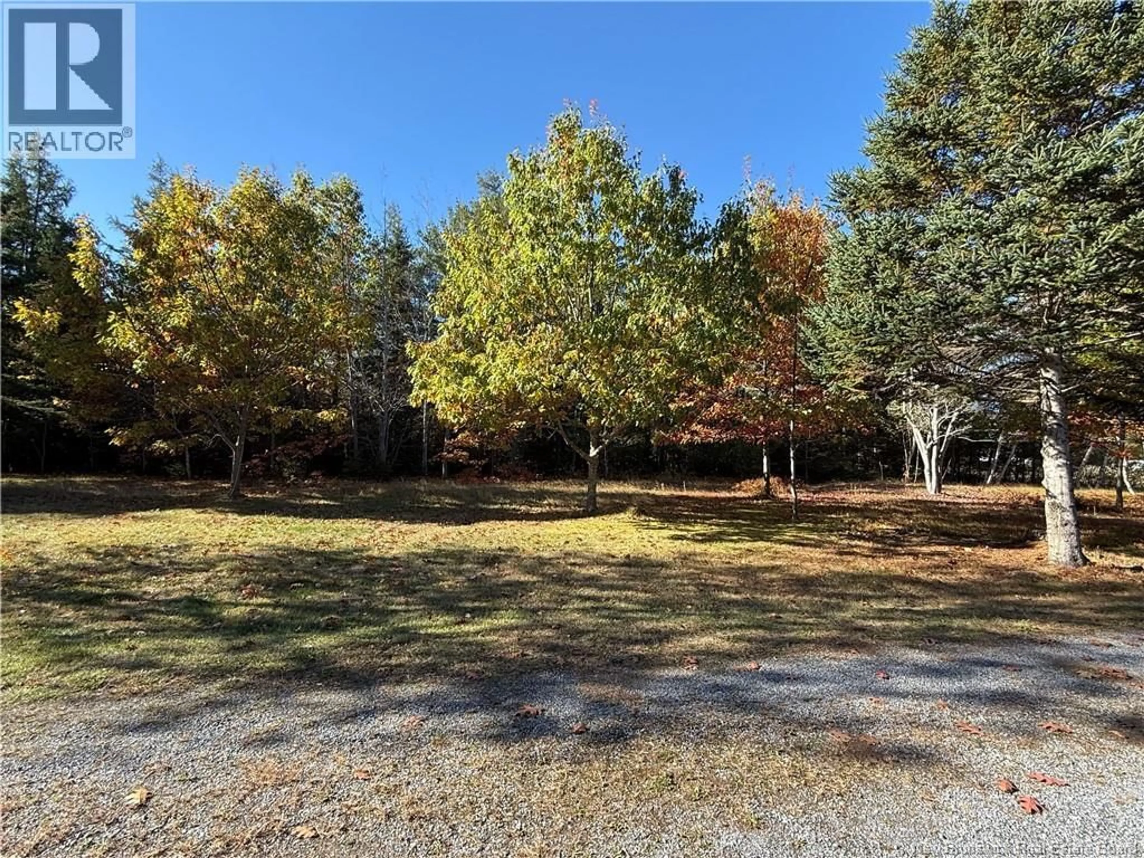 A pic from outside/outdoor area/front of a property/back of a property/a pic from drone, forest/trees view for 1300 BELLS MILLS ROAD, Richibouctou-Village New Brunswick E4W1C7