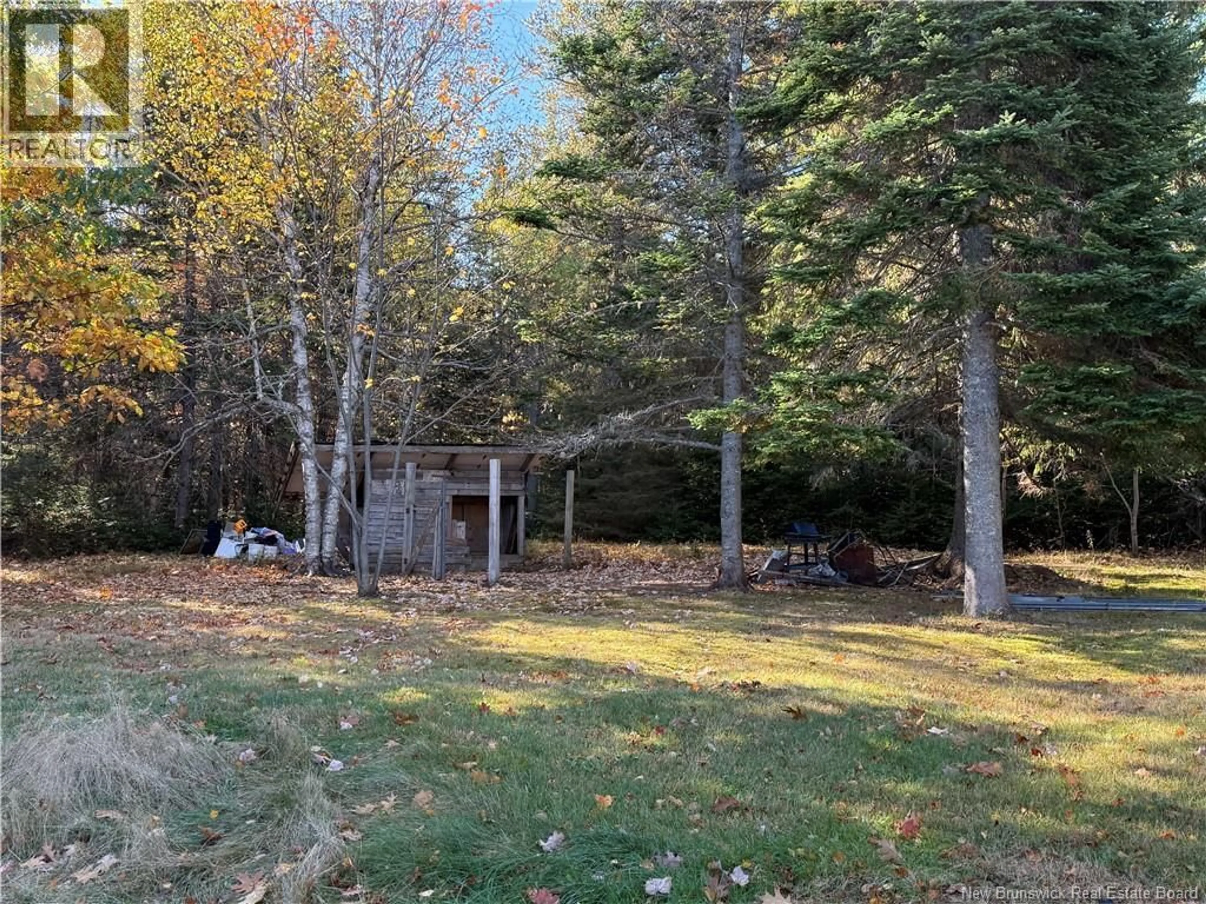 A pic from outside/outdoor area/front of a property/back of a property/a pic from drone, forest/trees view for 1300 BELLS MILLS ROAD, Richibouctou-Village New Brunswick E4W1C7