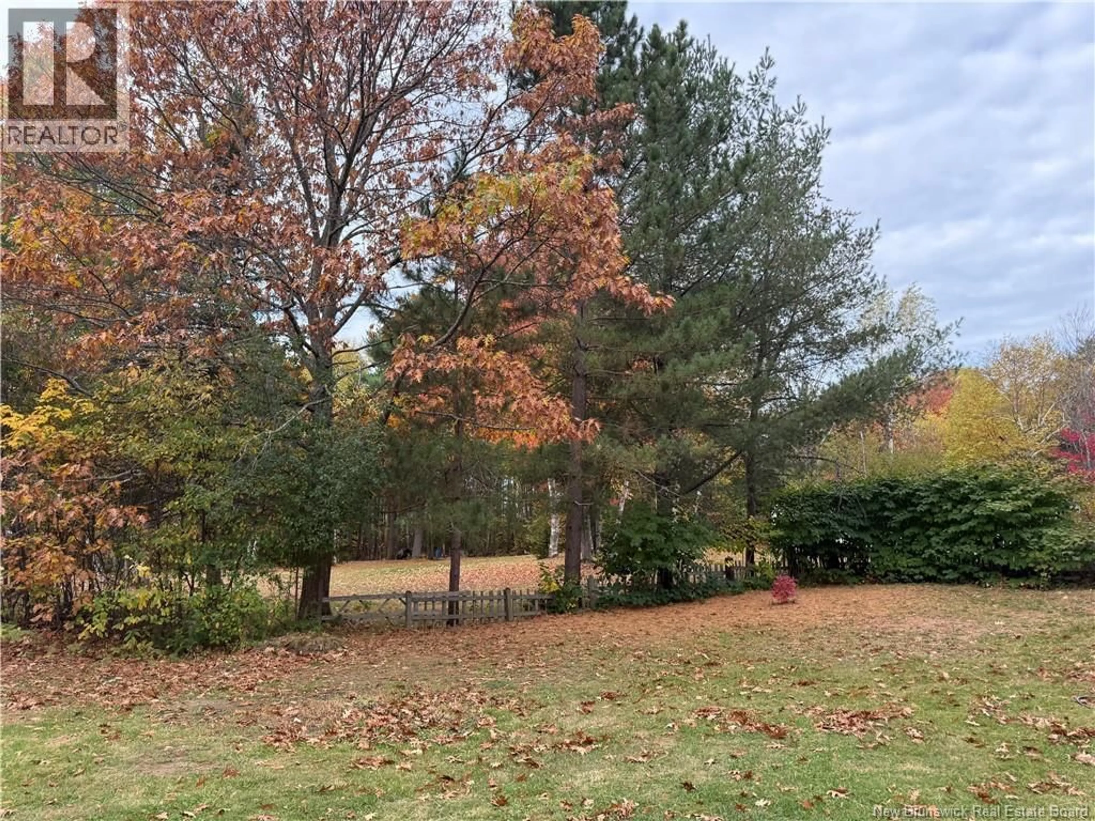 A pic from outside/outdoor area/front of a property/back of a property/a pic from drone, forest/trees view for 300 BROWN ROAD, Miramichi New Brunswick E1V3L6
