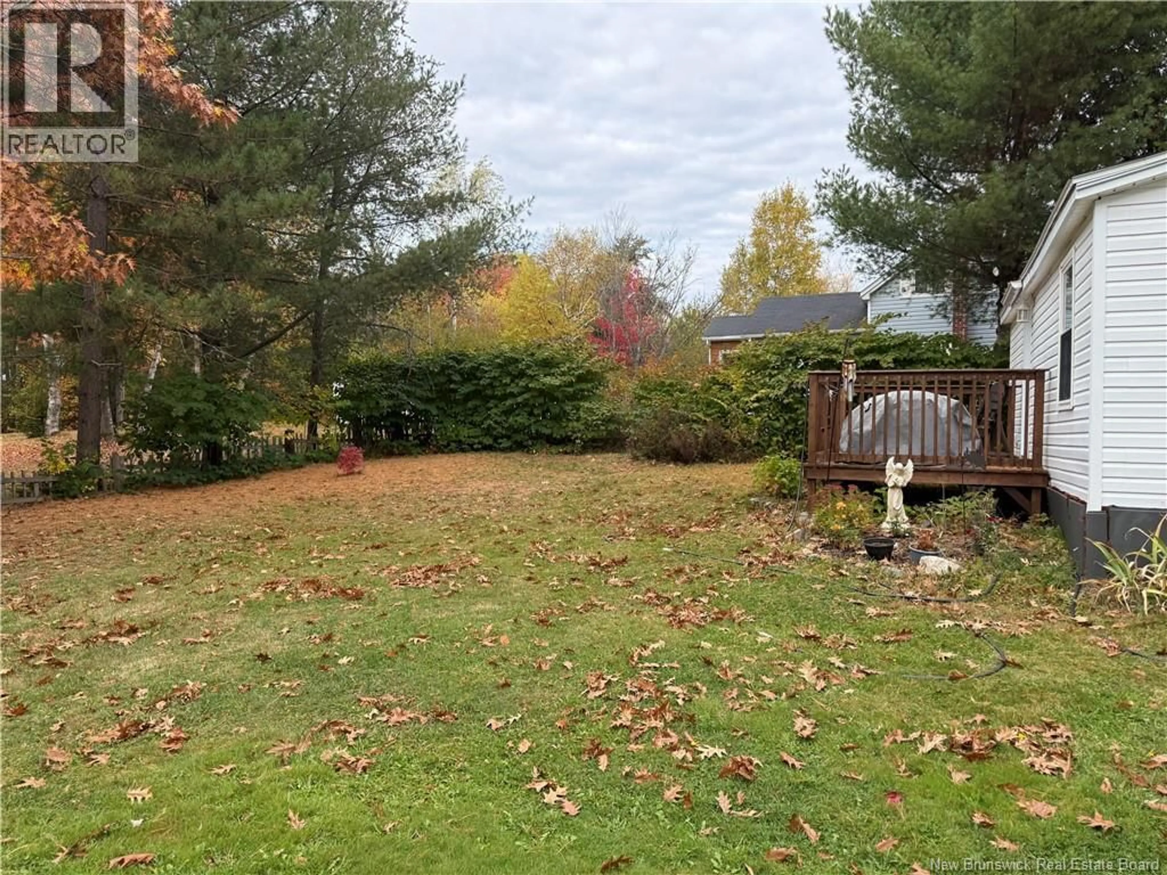 A pic from outside/outdoor area/front of a property/back of a property/a pic from drone, forest/trees view for 300 BROWN ROAD, Miramichi New Brunswick E1V3L6