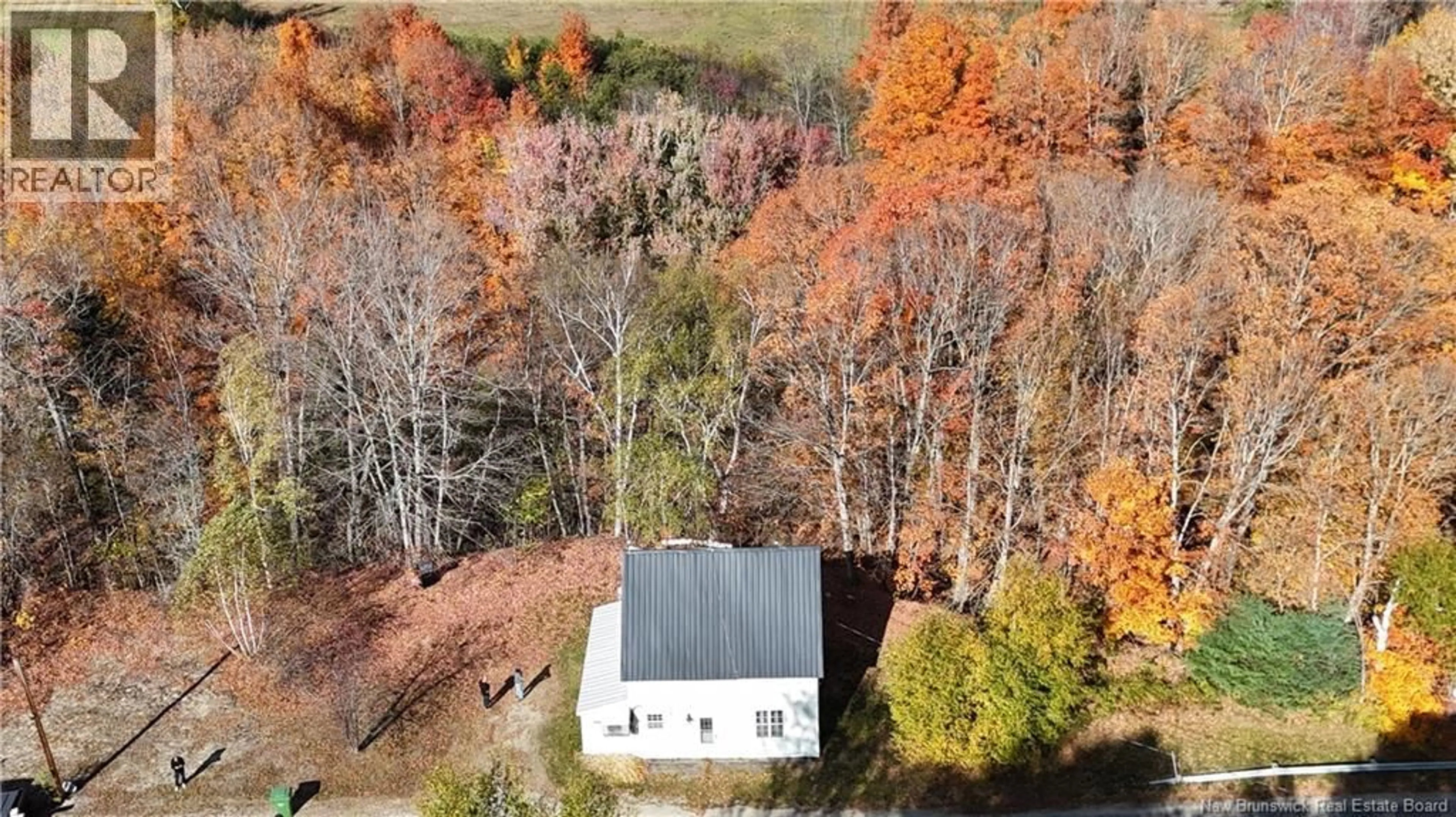 A pic from outside/outdoor area/front of a property/back of a property/a pic from drone, forest/trees view for 257 MCNAMEE ROAD, McNamee New Brunswick E9C2G9