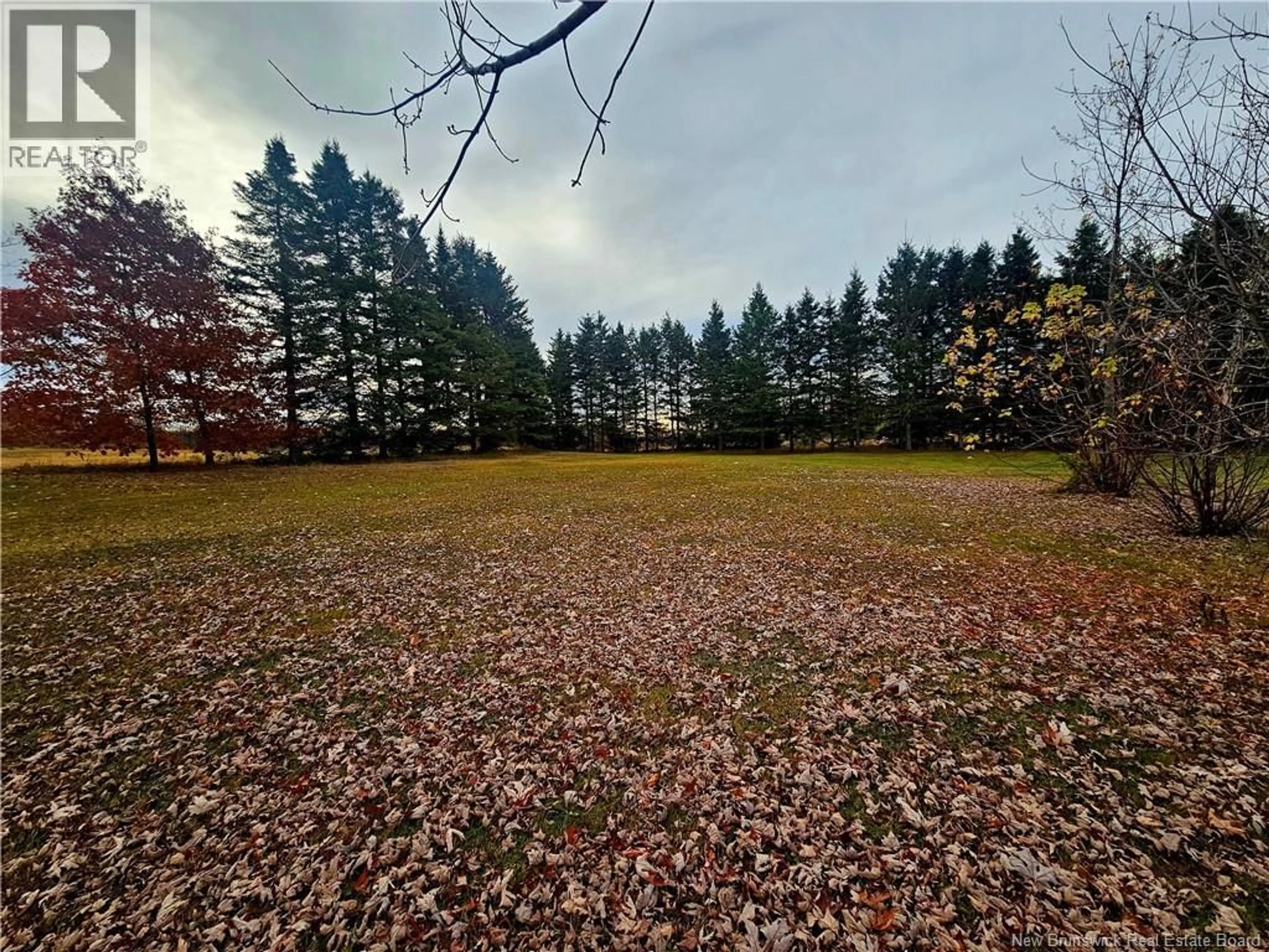 A pic from outside/outdoor area/front of a property/back of a property/a pic from drone, forest/trees view for 679 COOMBES ROAD, Saint-Léonard-Parent New Brunswick E7E2R2
