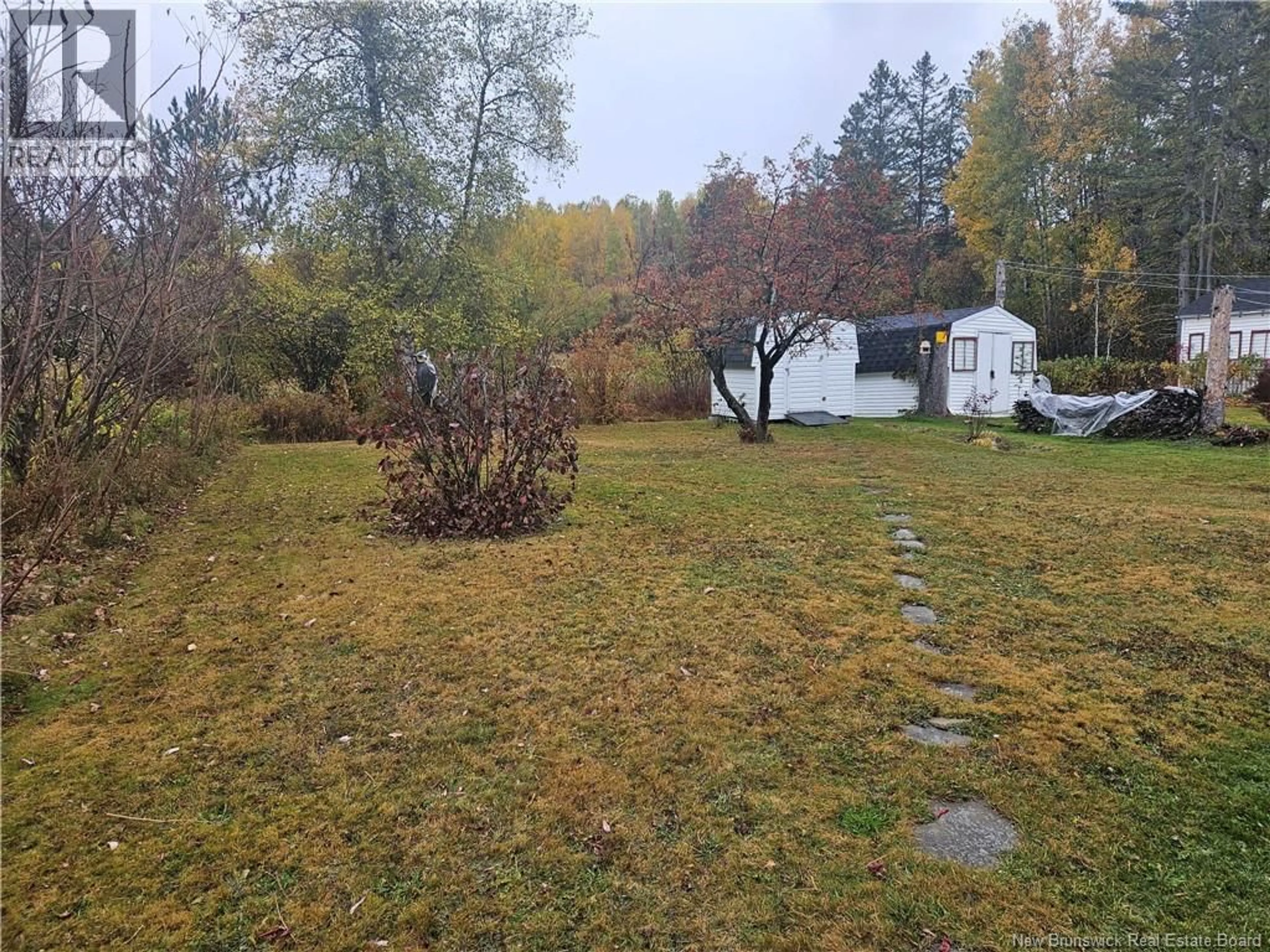 A pic from outside/outdoor area/front of a property/back of a property/a pic from drone, forest/trees view for 169 MAIN STREET, Blackville New Brunswick E9B1S3