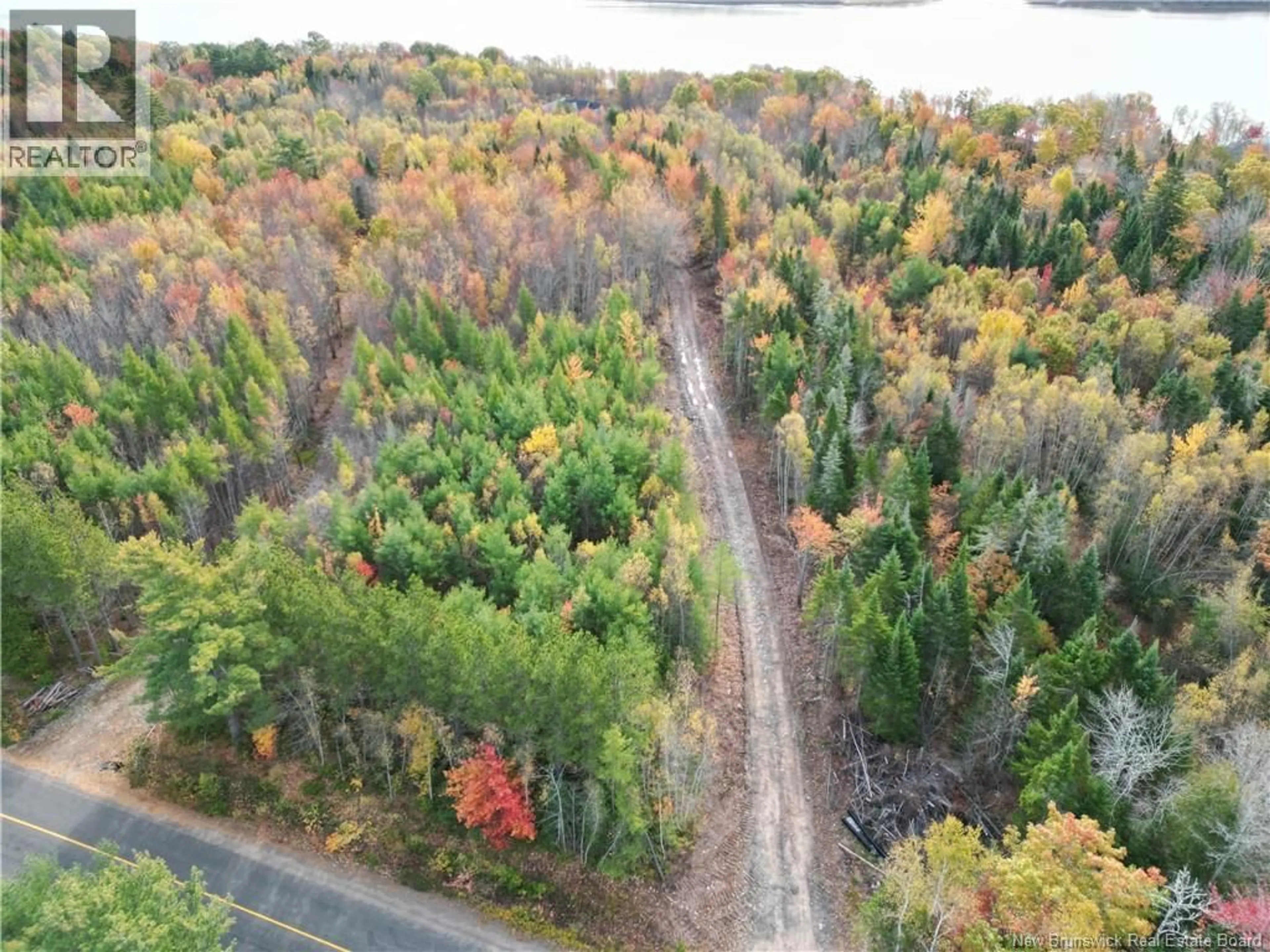 A pic from outside/outdoor area/front of a property/back of a property/a pic from drone, forest/trees view for 1675 LAKEVIEW ROAD, Cambridge-Narrows New Brunswick E4C1M5
