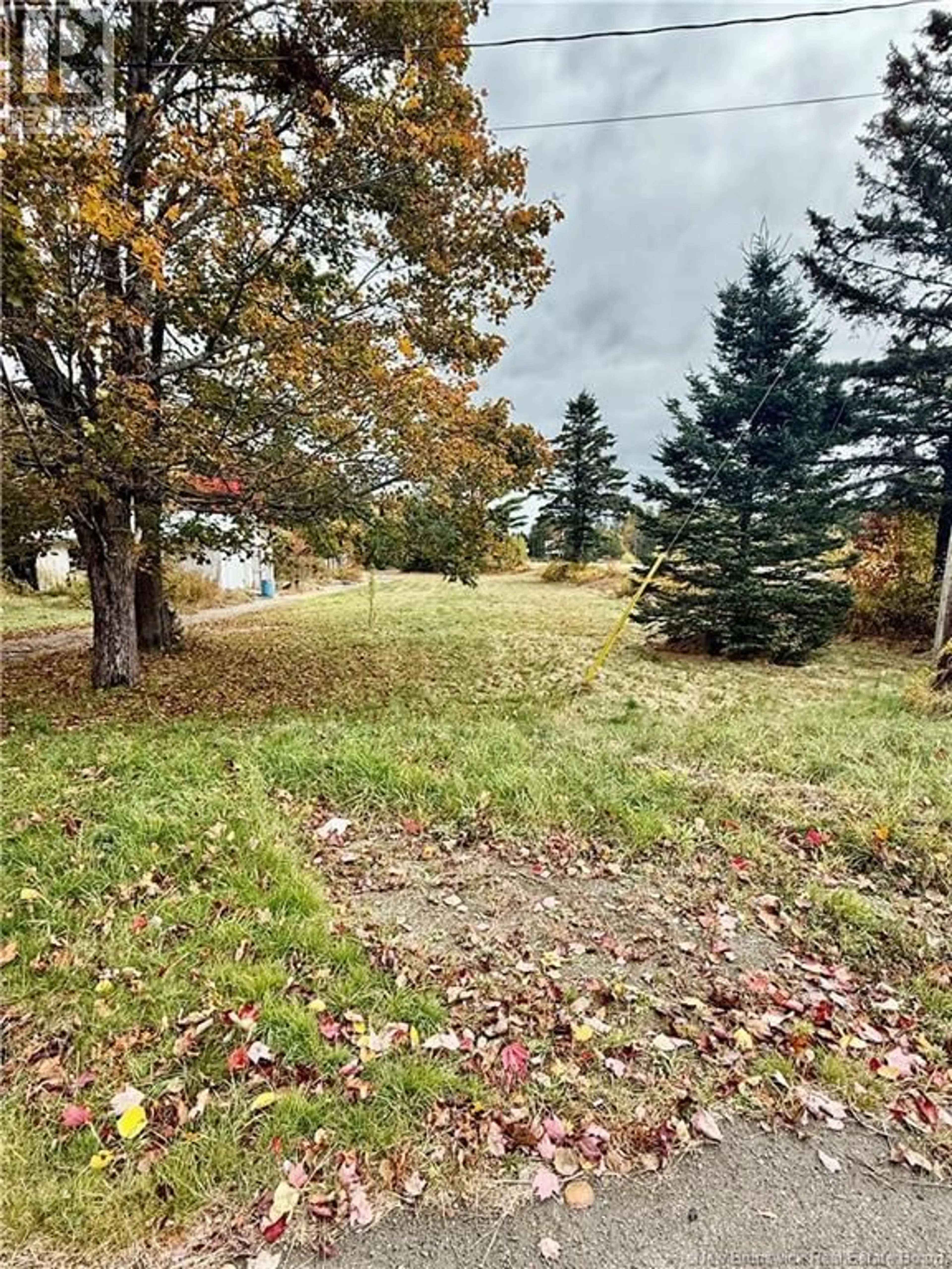 A pic from outside/outdoor area/front of a property/back of a property/a pic from drone, forest/trees view for 3049 ROUTE 760, Bethel New Brunswick E5C0G3