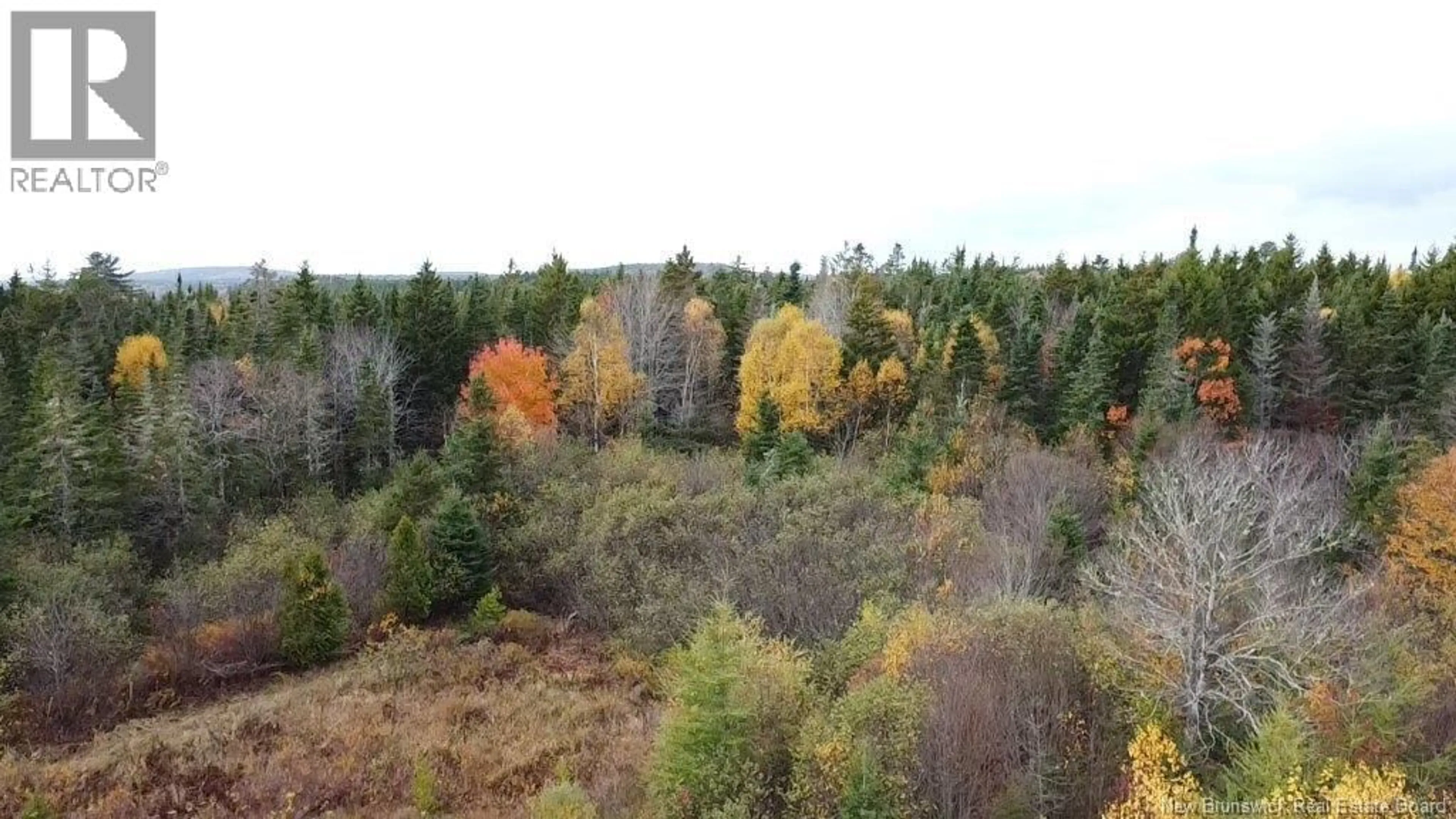 A pic from outside/outdoor area/front of a property/back of a property/a pic from drone, forest/trees view for 74 PIPERTOWN ROAD, Summerville New Brunswick E5S1E5