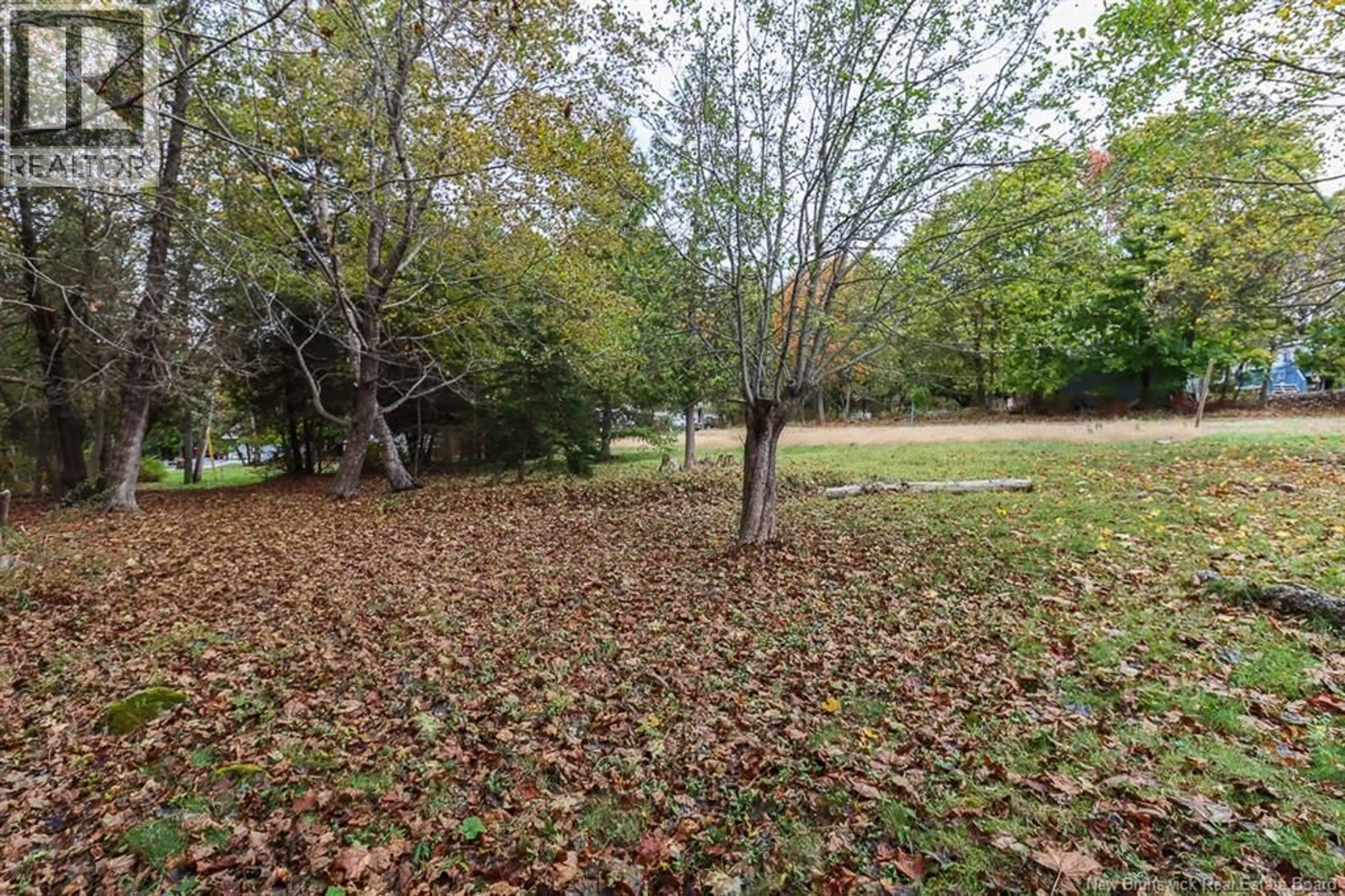 A pic from outside/outdoor area/front of a property/back of a property/a pic from drone, forest/trees view for 19 VINCENT ROAD, Quispamsis New Brunswick E2G0A5