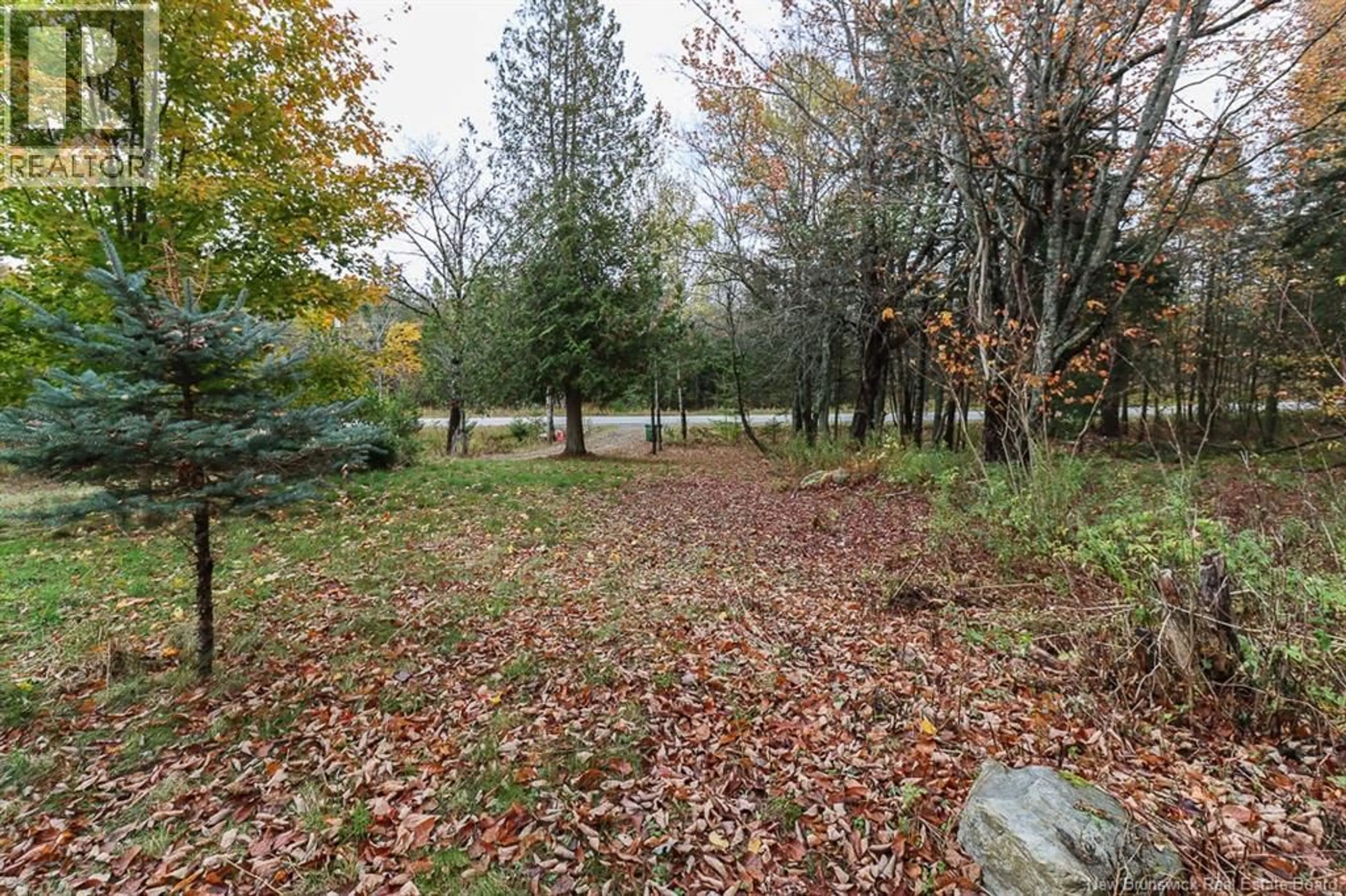 Patio, forest/trees view for 21 KIERSTEADVILLE ROAD, Kingston New Brunswick E5N8H1