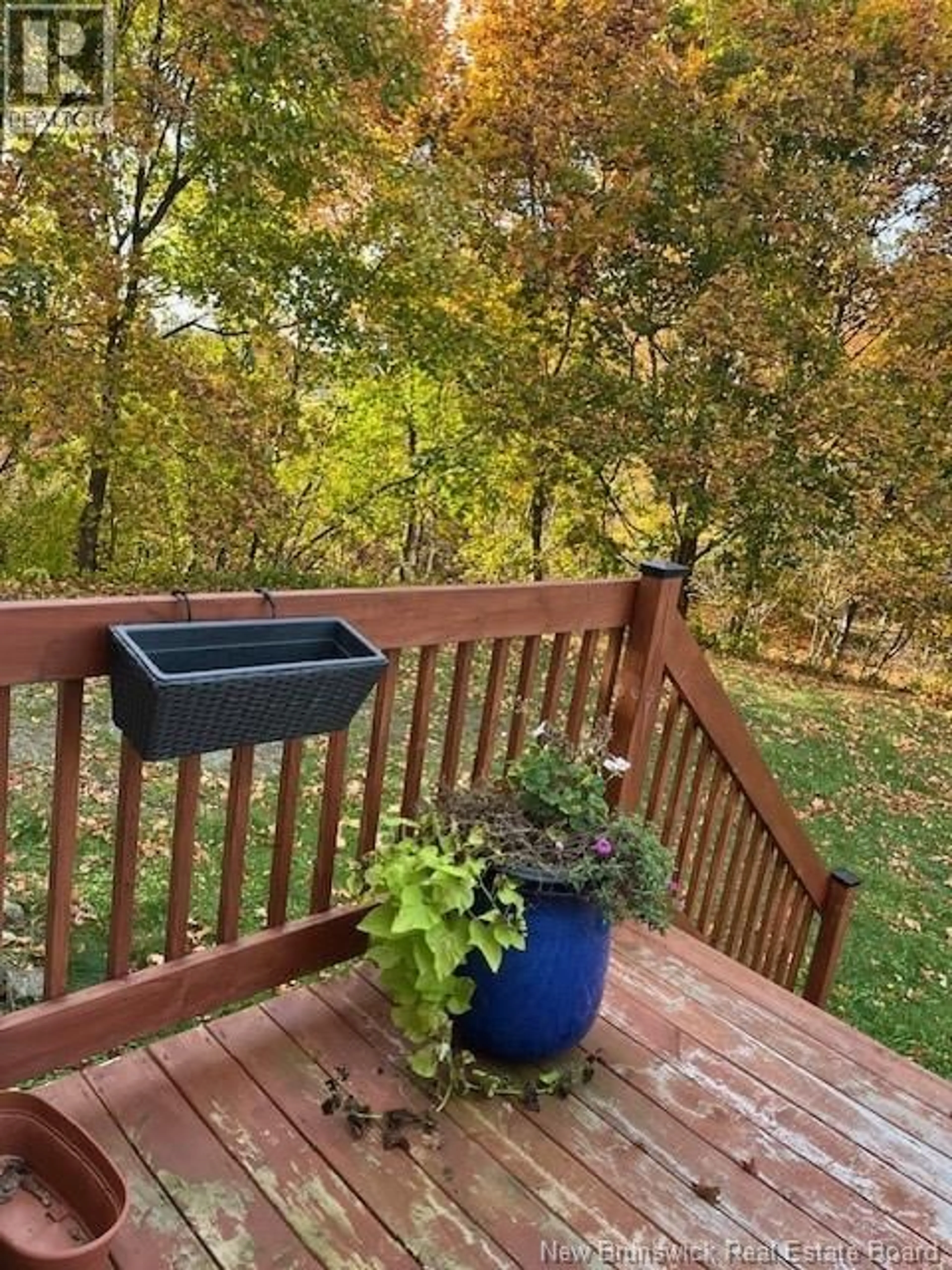Patio, forest/trees view for 431 VANIER STREET, Campbellton New Brunswick E3N1V1