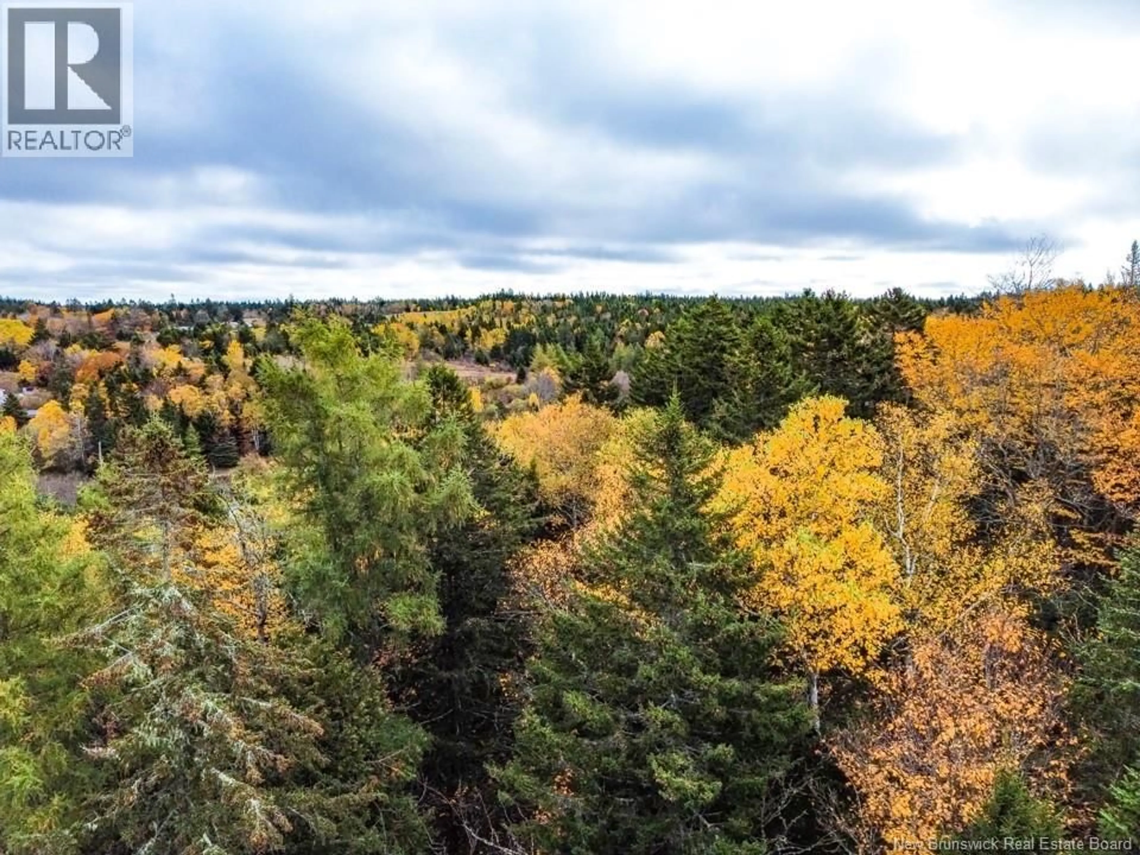 A pic from outside/outdoor area/front of a property/back of a property/a pic from drone, forest/trees view for 2 UPPER GOLDEN GROVE, Upper Golden Grove New Brunswick E2S2X8