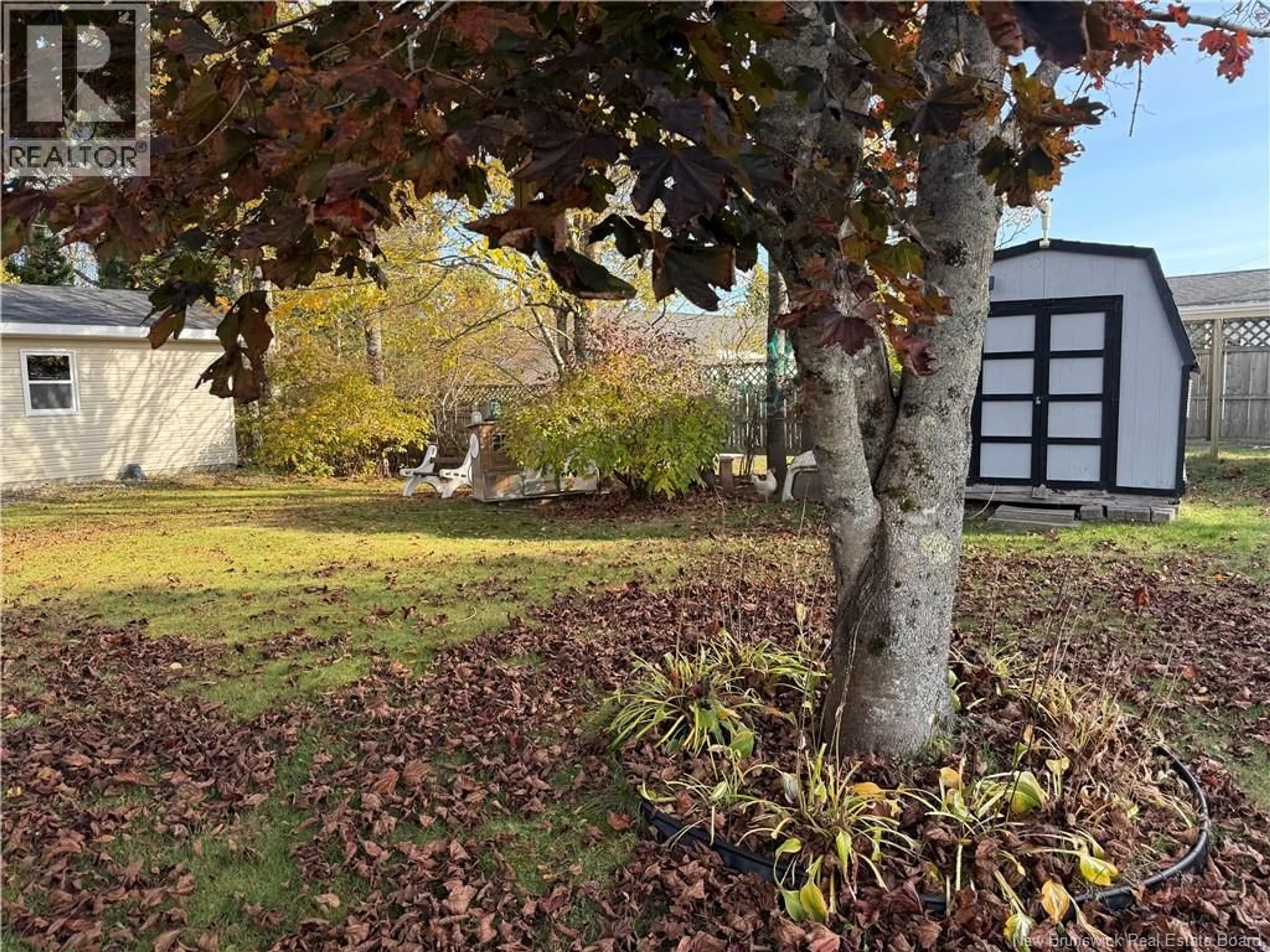 A pic from outside/outdoor area/front of a property/back of a property/a pic from drone, forest/trees view for 25 PRINCE WILLIAM STREET, St George New Brunswick E5C3L7