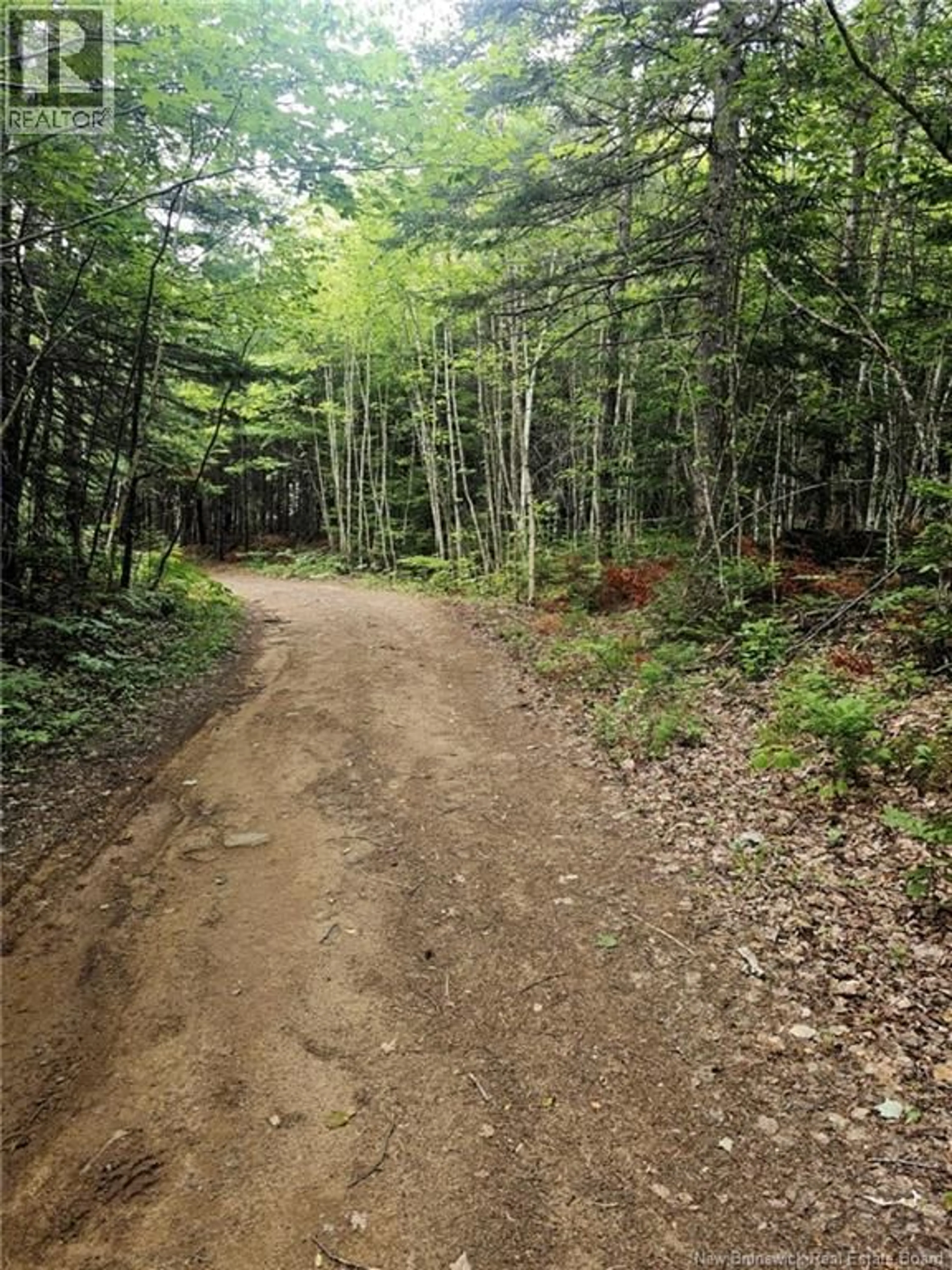 Blurry image for LOT - 33, 34 CAMP OFF THE GREEN ROAD, Elgin New Brunswick E4Z6L4