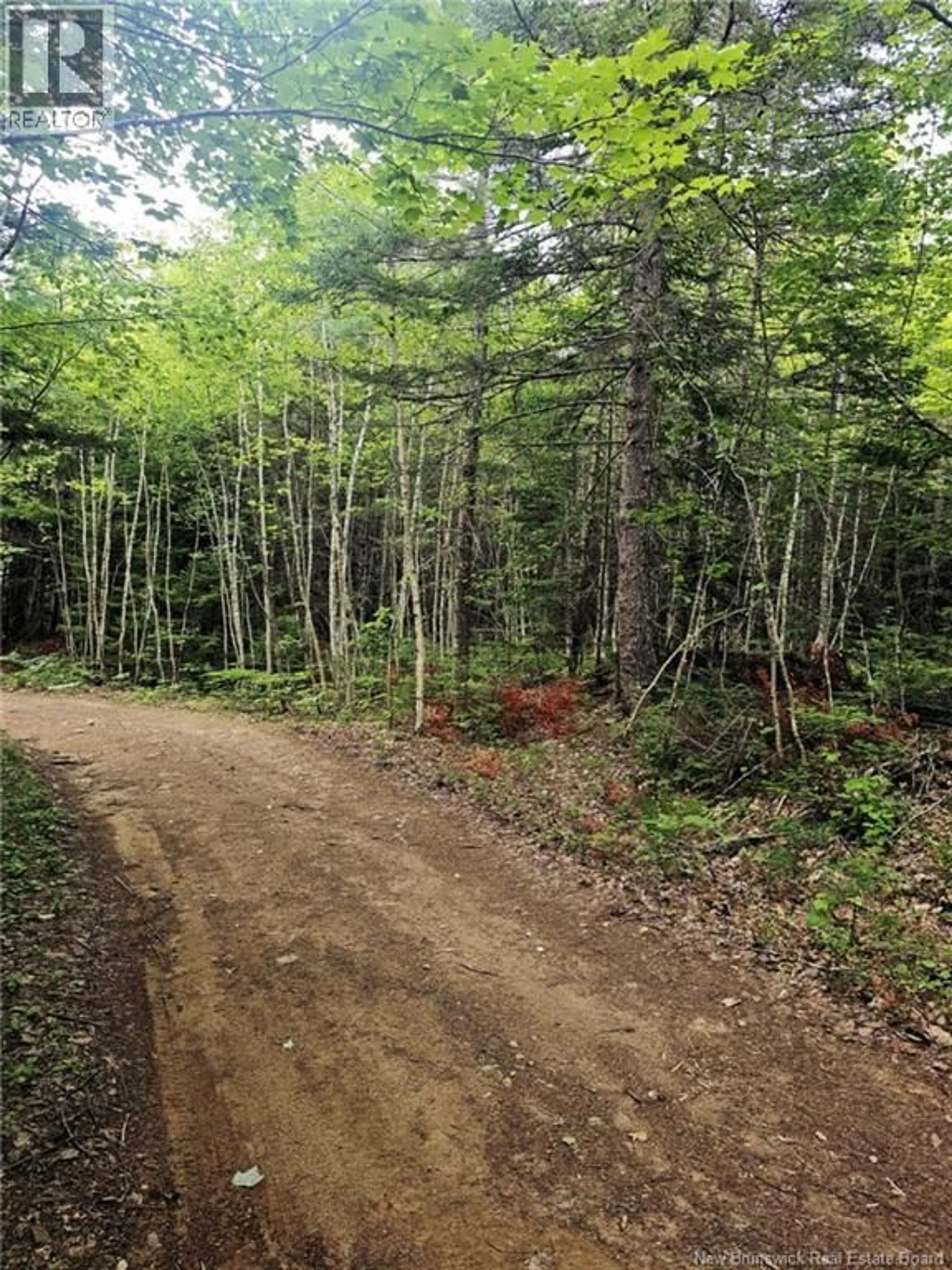 Unknown for LOT - 33, 34 CAMP OFF THE GREEN ROAD, Elgin New Brunswick E4Z6L4