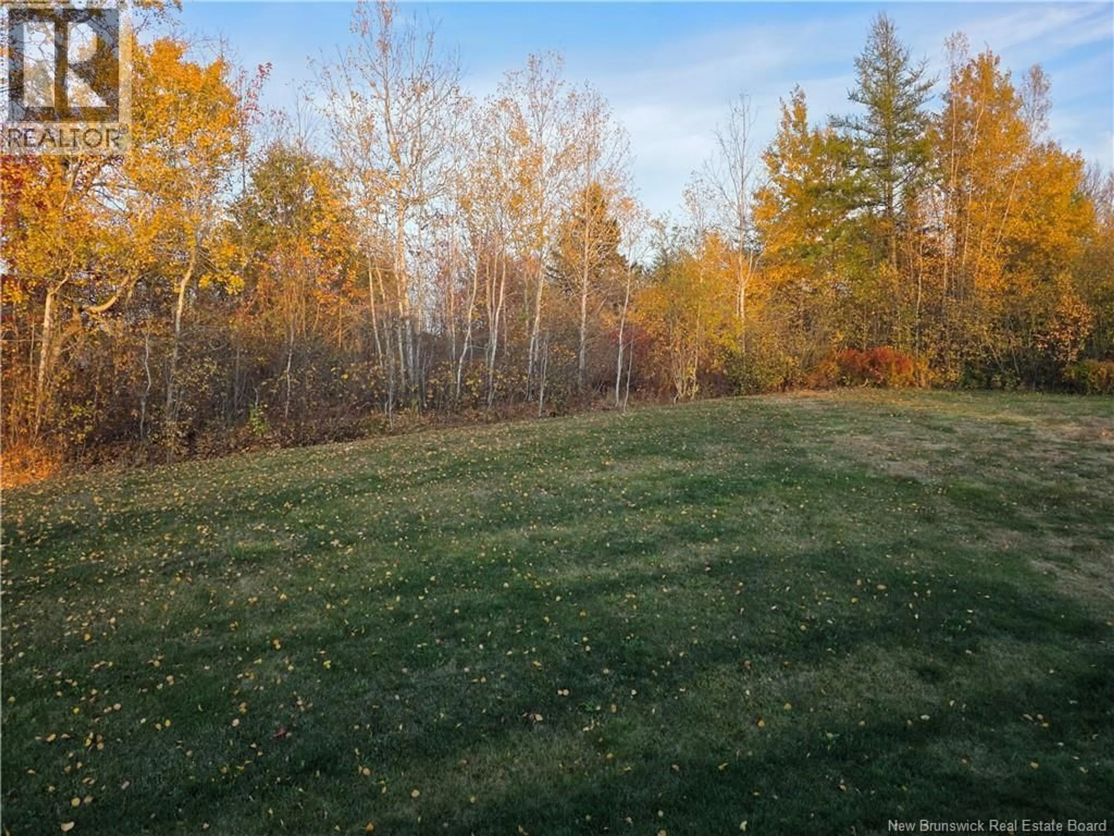 A pic from outside/outdoor area/front of a property/back of a property/a pic from drone, forest/trees view for 9 JEREMIE COURT, Moncton New Brunswick E1A0B7