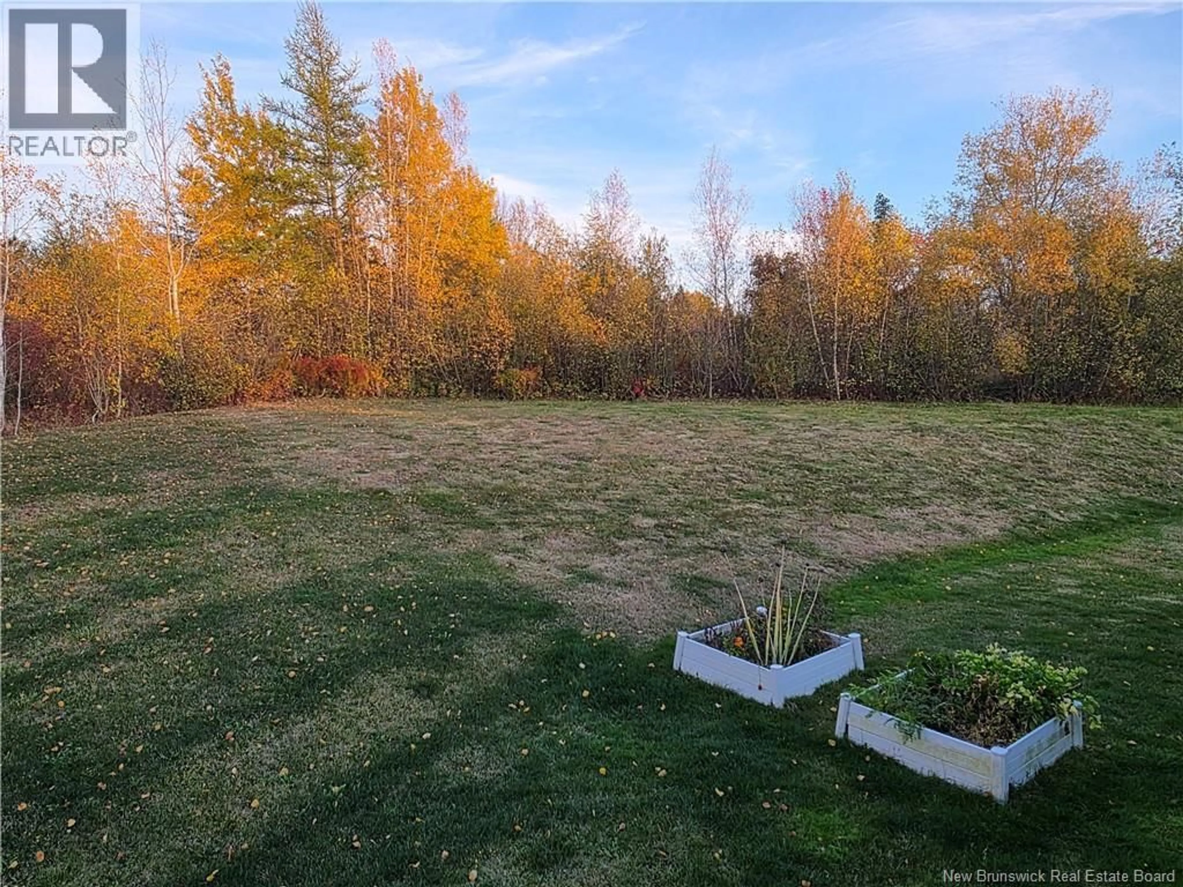 A pic from outside/outdoor area/front of a property/back of a property/a pic from drone, forest/trees view for 9 JEREMIE COURT, Moncton New Brunswick E1A0B7