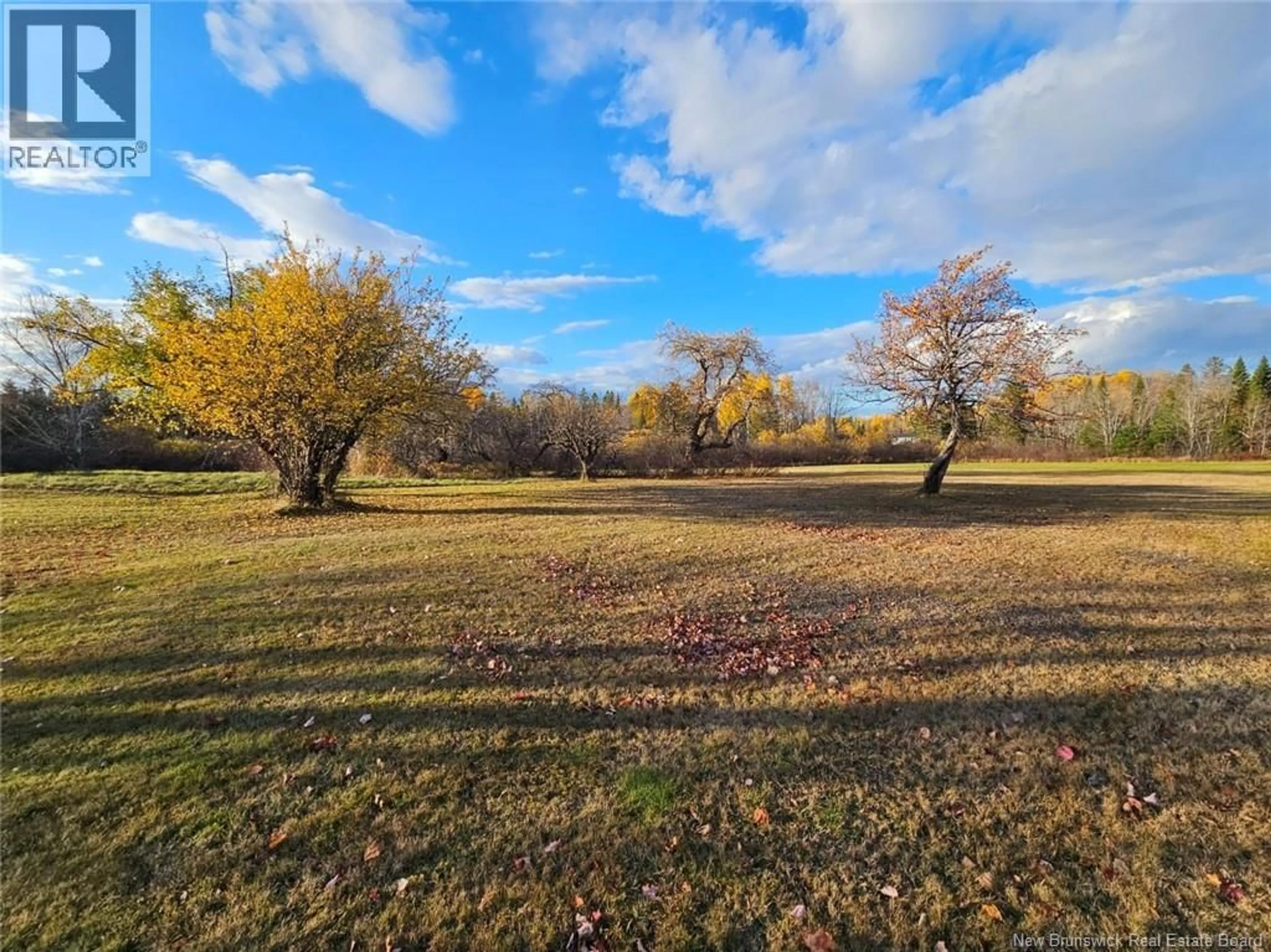 A pic from outside/outdoor area/front of a property/back of a property/a pic from drone, forest/trees view for 78 THERIAULT ROAD, Middle River New Brunswick E2A6Y8