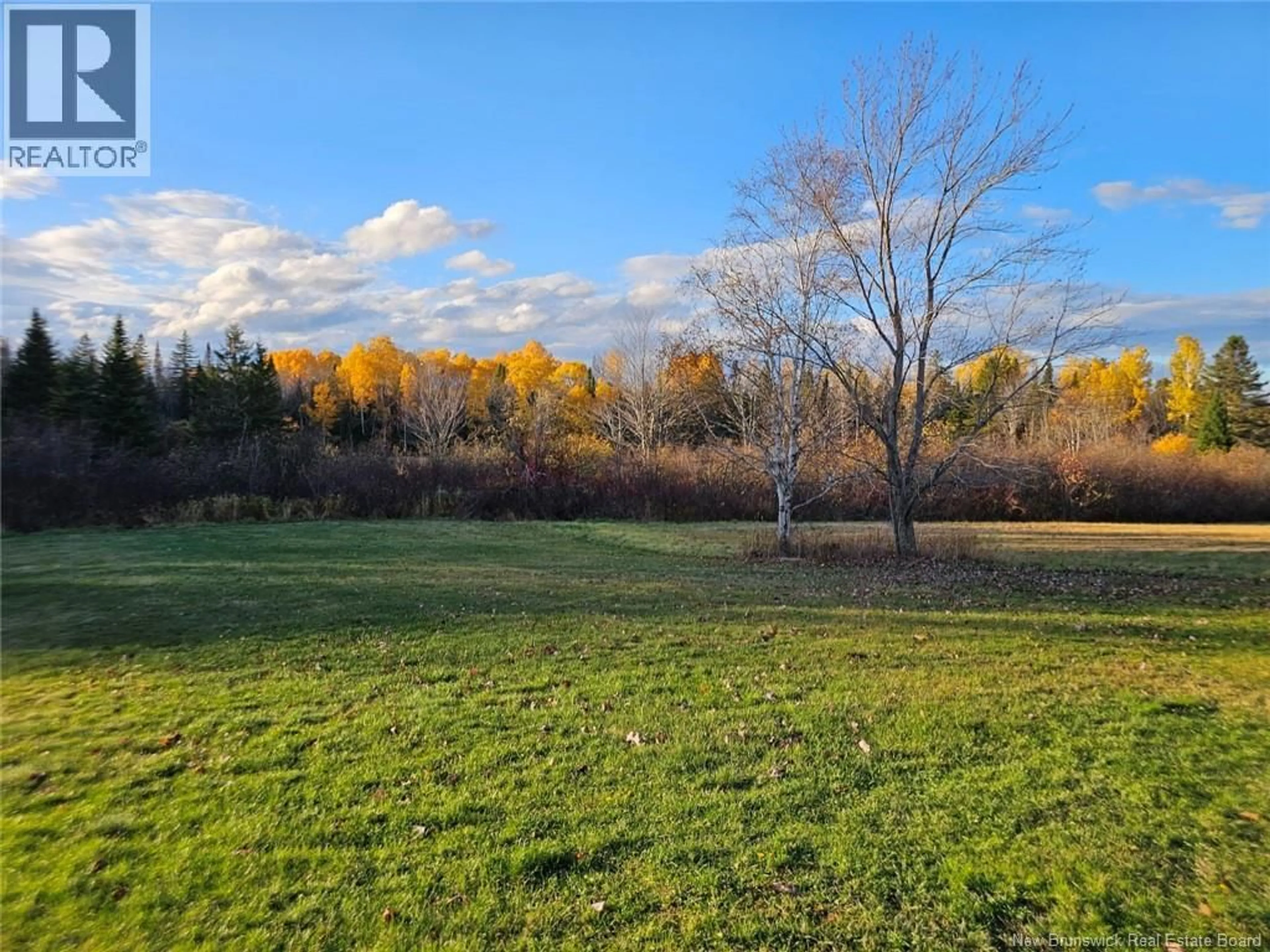 A pic from outside/outdoor area/front of a property/back of a property/a pic from drone, forest/trees view for 78 THERIAULT ROAD, Middle River New Brunswick E2A6Y8