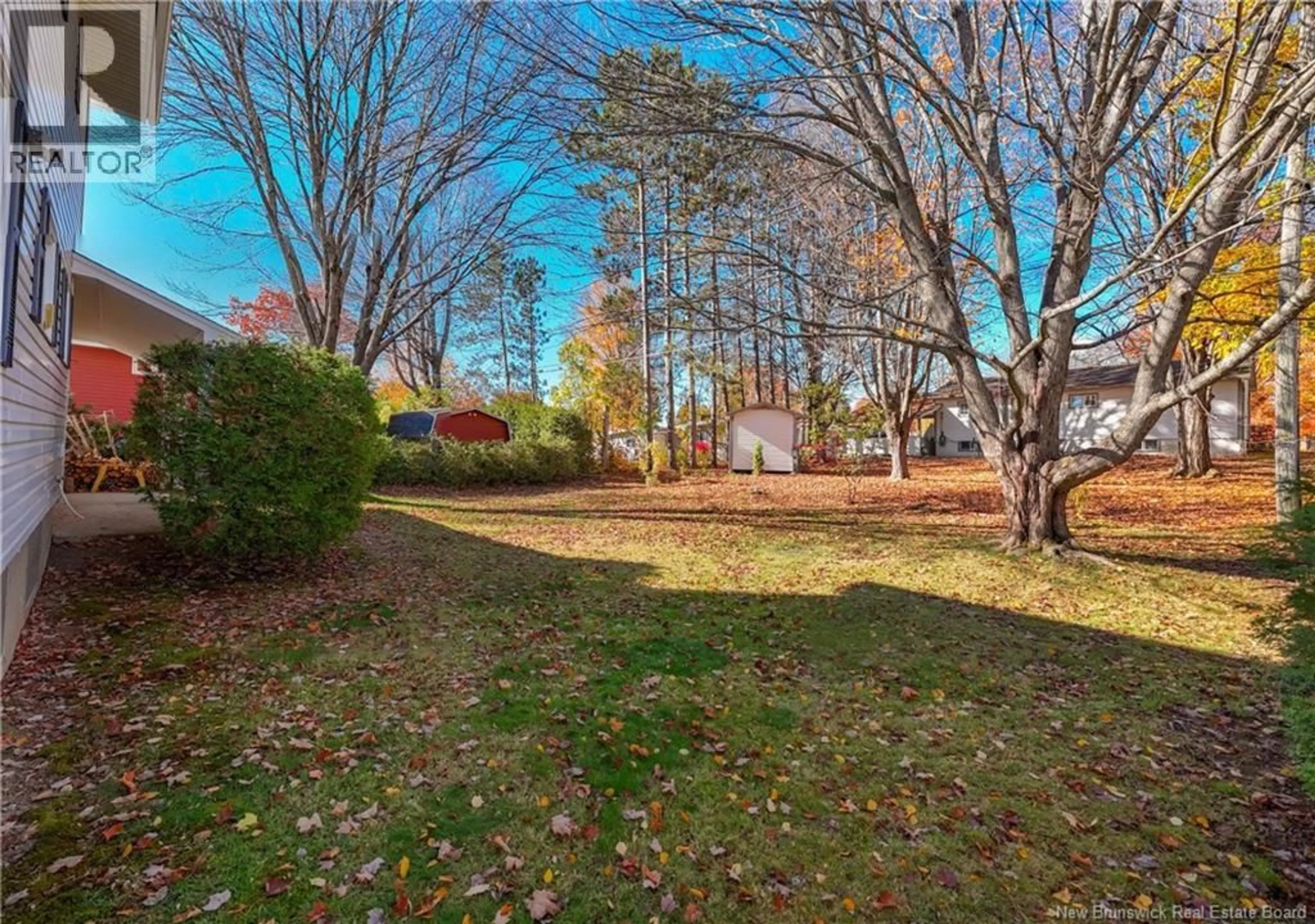 A pic from outside/outdoor area/front of a property/back of a property/a pic from drone, forest/trees view for 117 EPWORTH CIRCLE, Fredericton New Brunswick E3A2M7